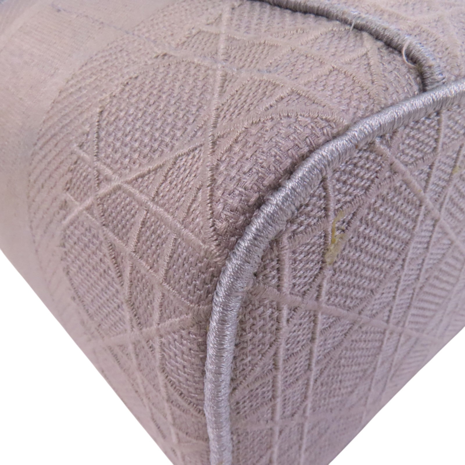 Dior 帆布Vanity Case銀扣手挽袋