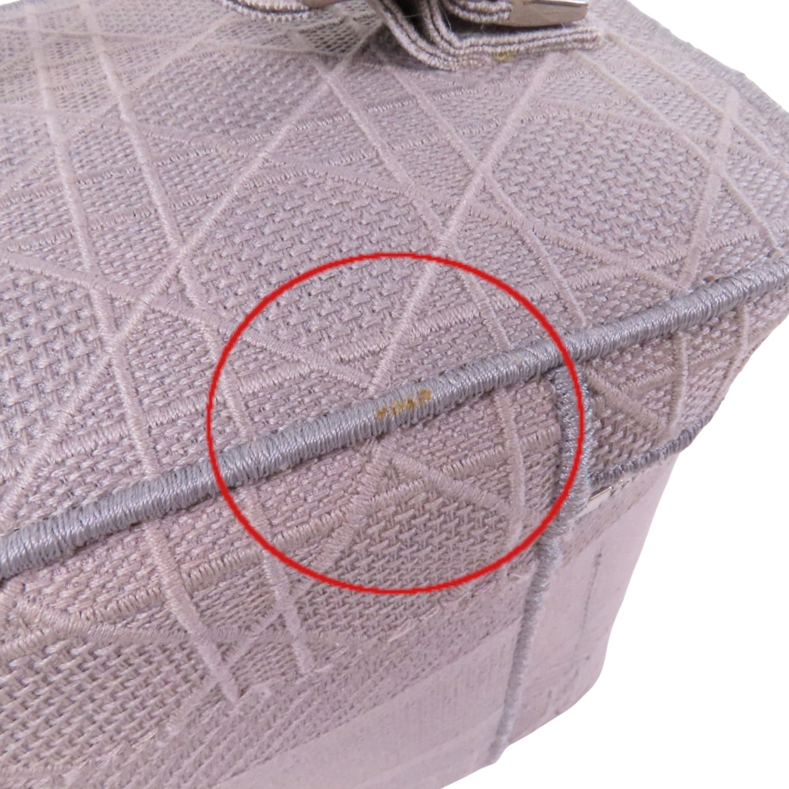 Dior 帆布Vanity Case銀扣手挽袋