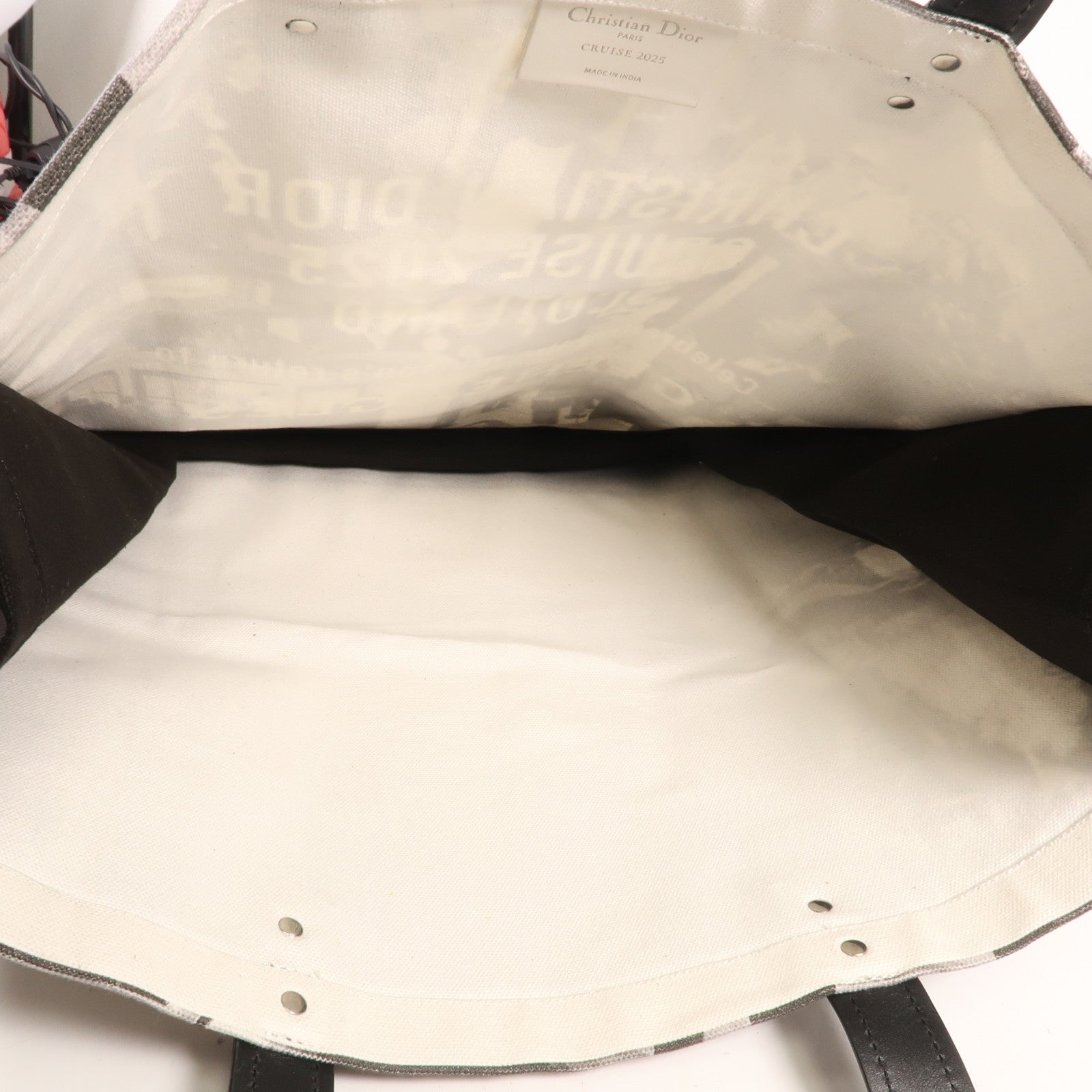 Dior 帆布Cruise 2025 Tote Bag手挽袋