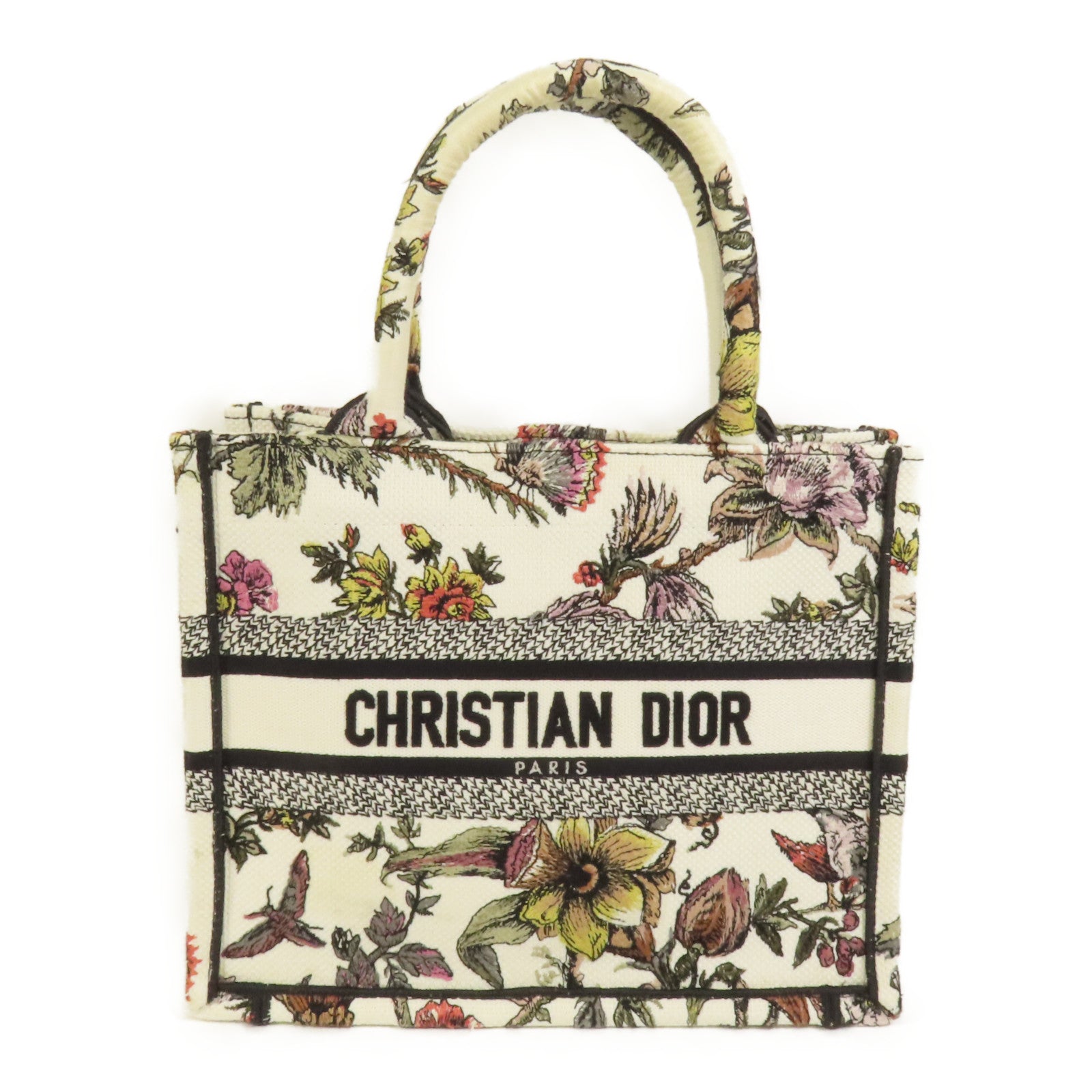 Dior 帆布Book Tote Small手挽袋