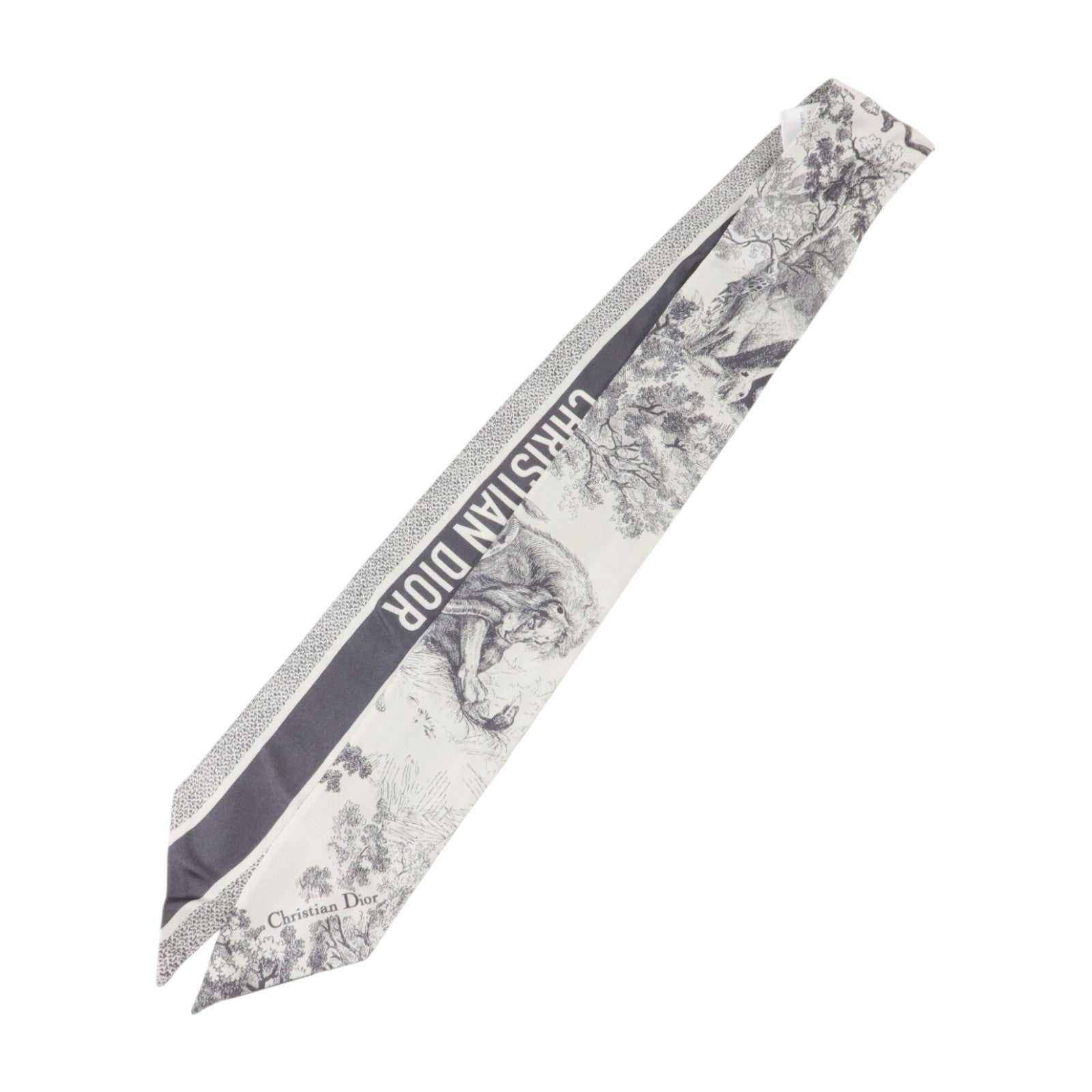 Dior 絲質Toile de Jouy Sauvage Mitzah Scarf絲巾