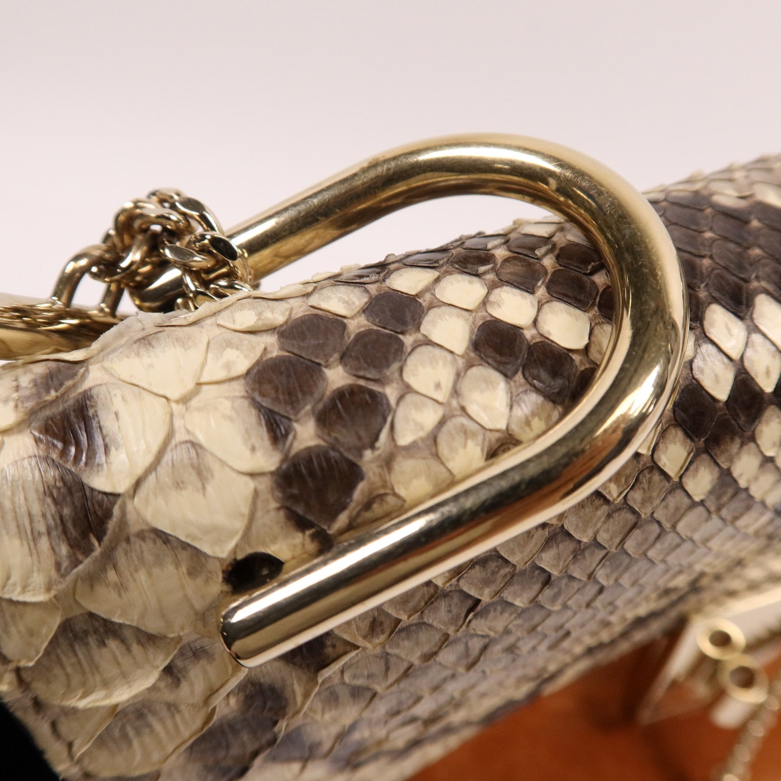 Chloe 牛皮/蛇皮皮革Drew Bag金扣鏈帶肩背袋