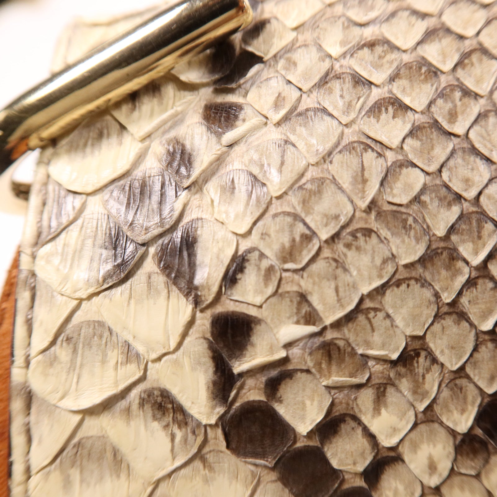 Chloe 牛皮/蛇皮皮革Drew Bag金扣鏈帶肩背袋