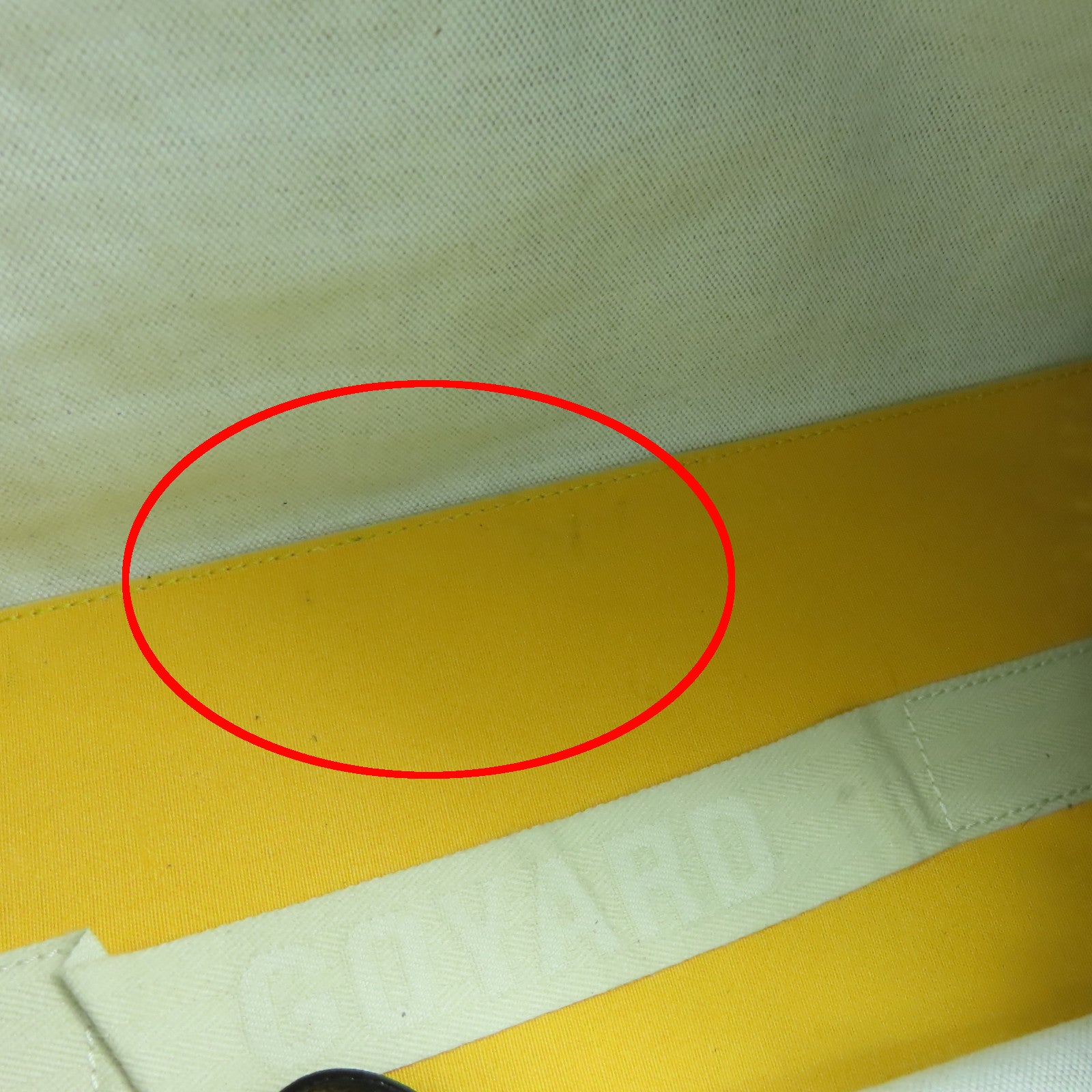 GOYARD 塗層帆布Sac Hardy Pet Carrier PM銀扣肩背袋黑色