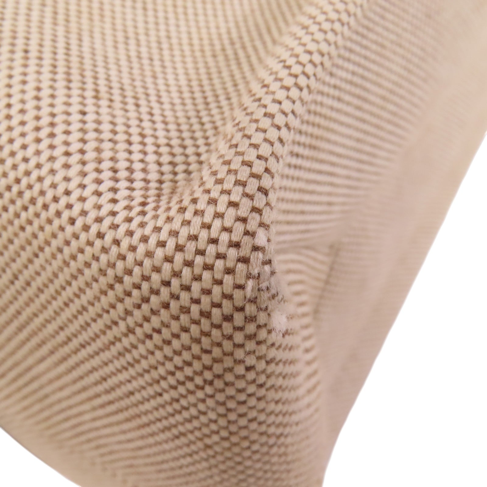 Chloe 帆布Woody Medium肩背袋