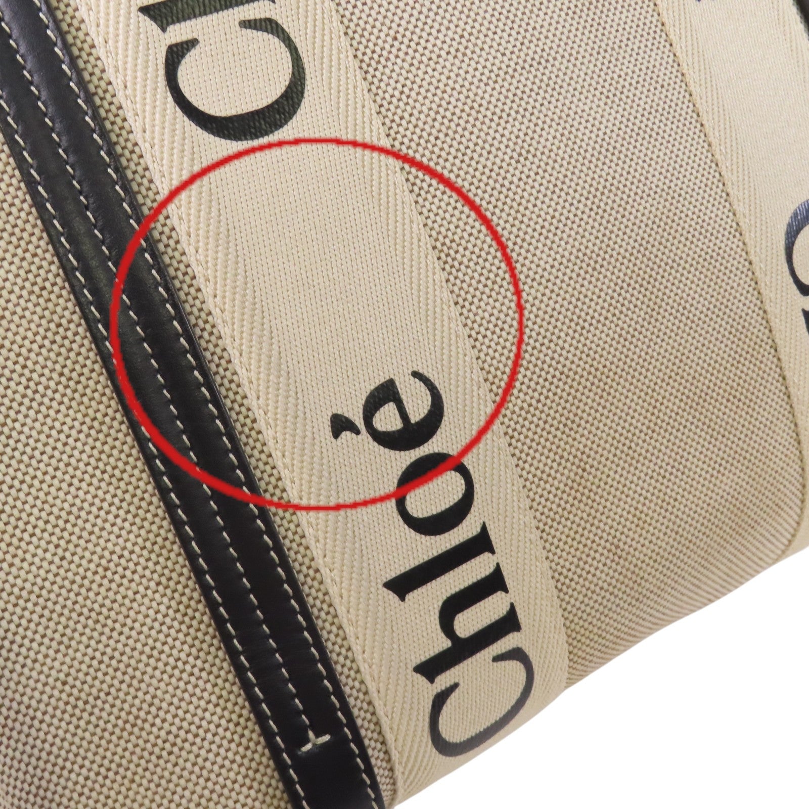 Chloe 帆布Woody Medium肩背袋