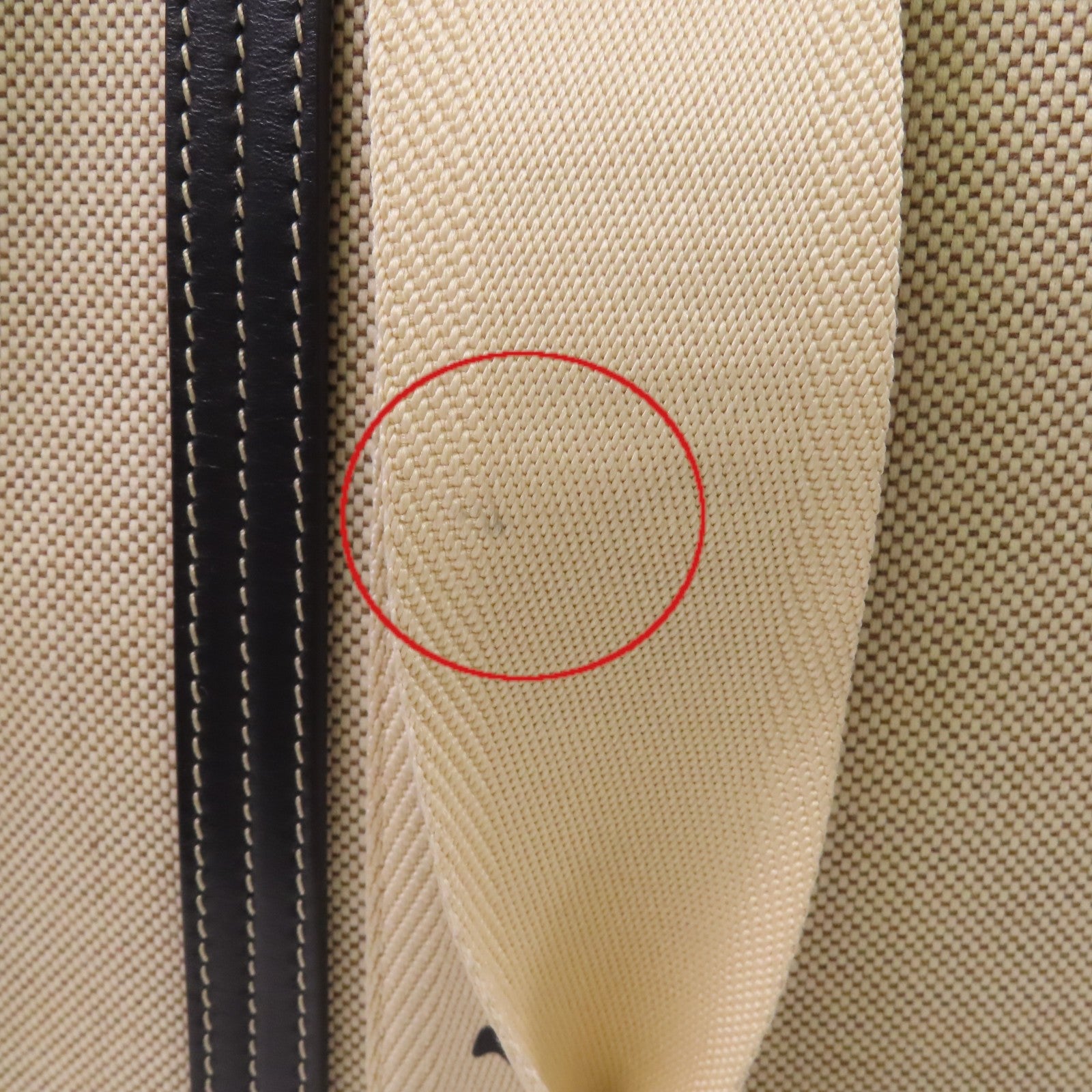 Chloe 帆布Woody Medium肩背袋