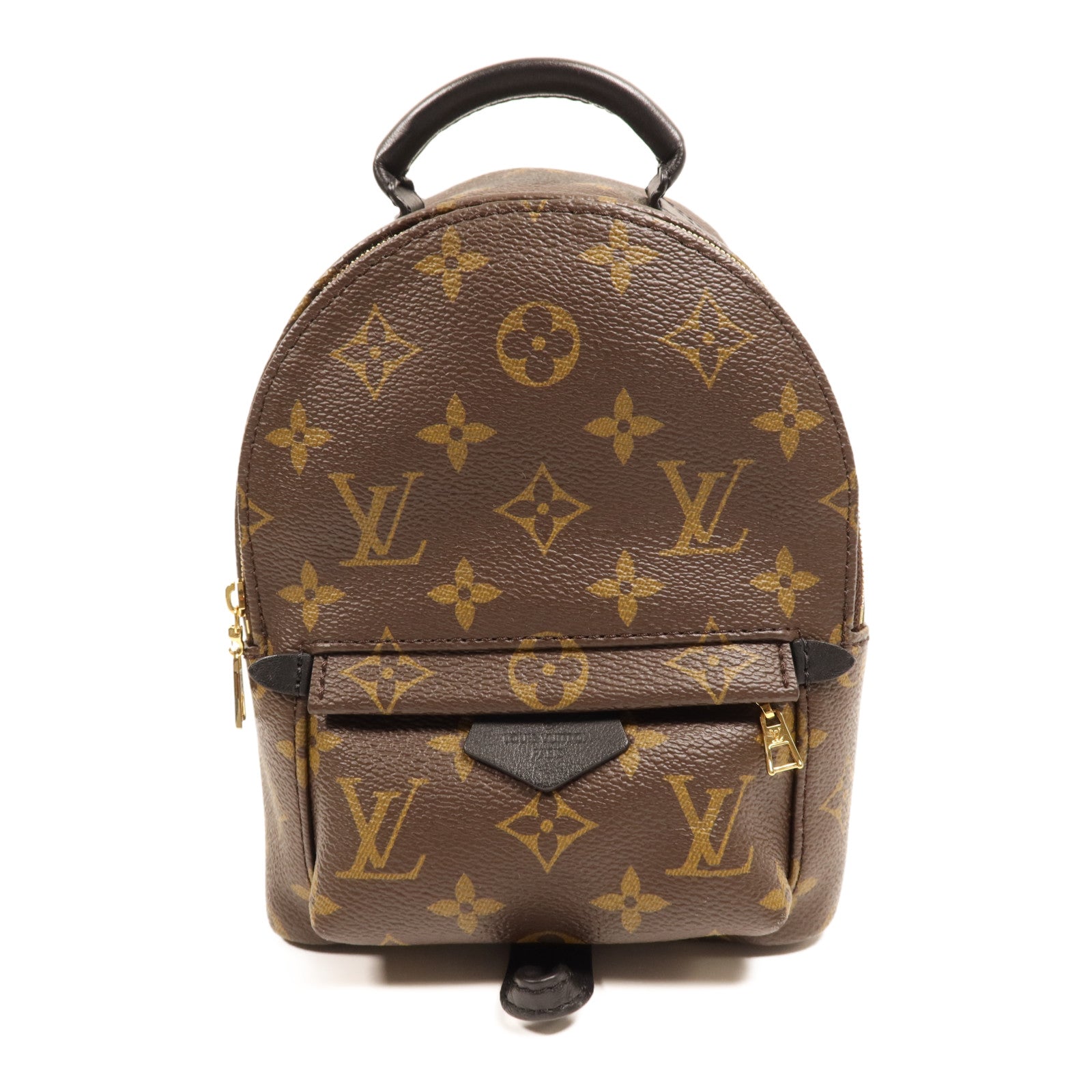 LOUIS VUITTON Monogram Palm Springs金扣背包