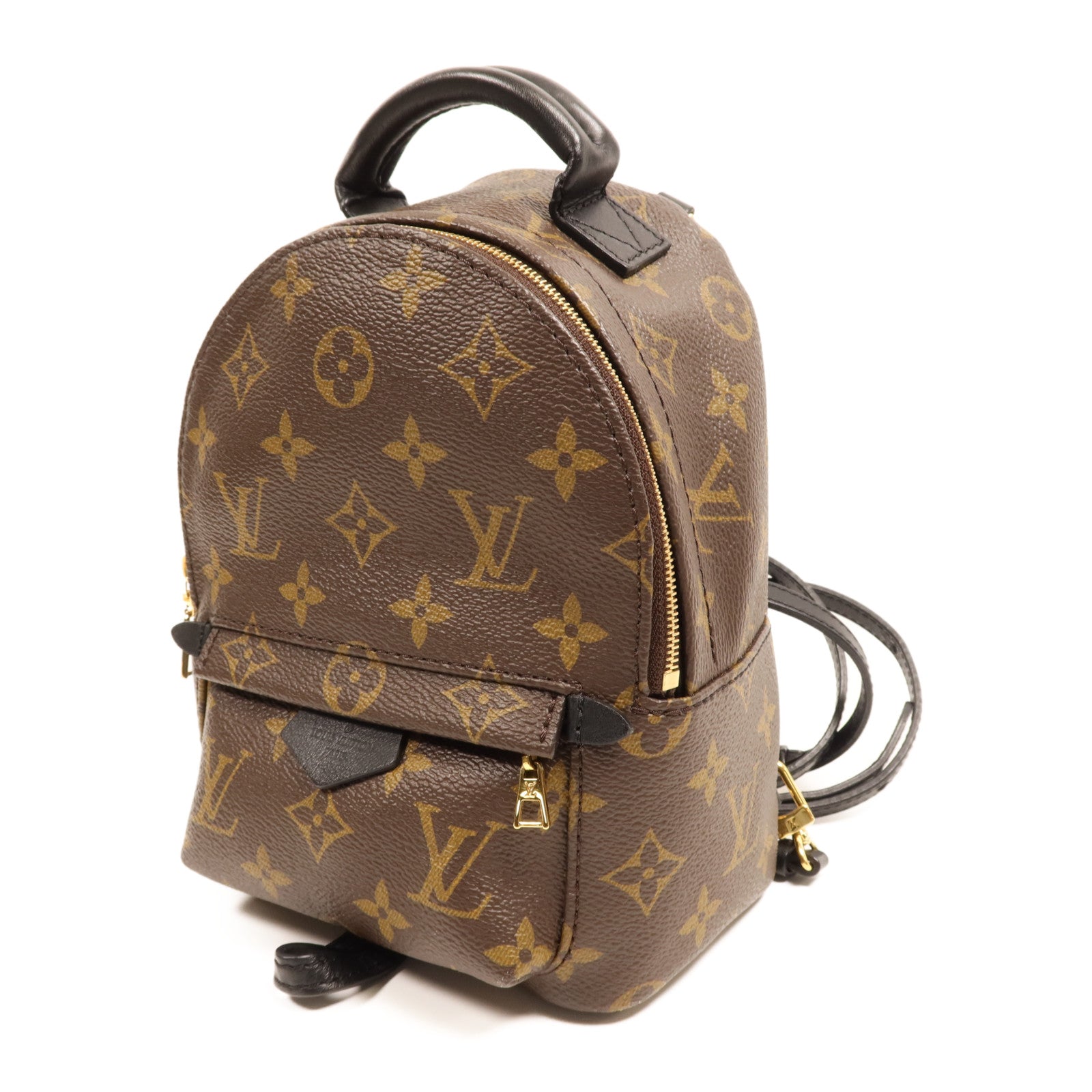 LOUIS VUITTON Monogram Palm Springs金扣背包