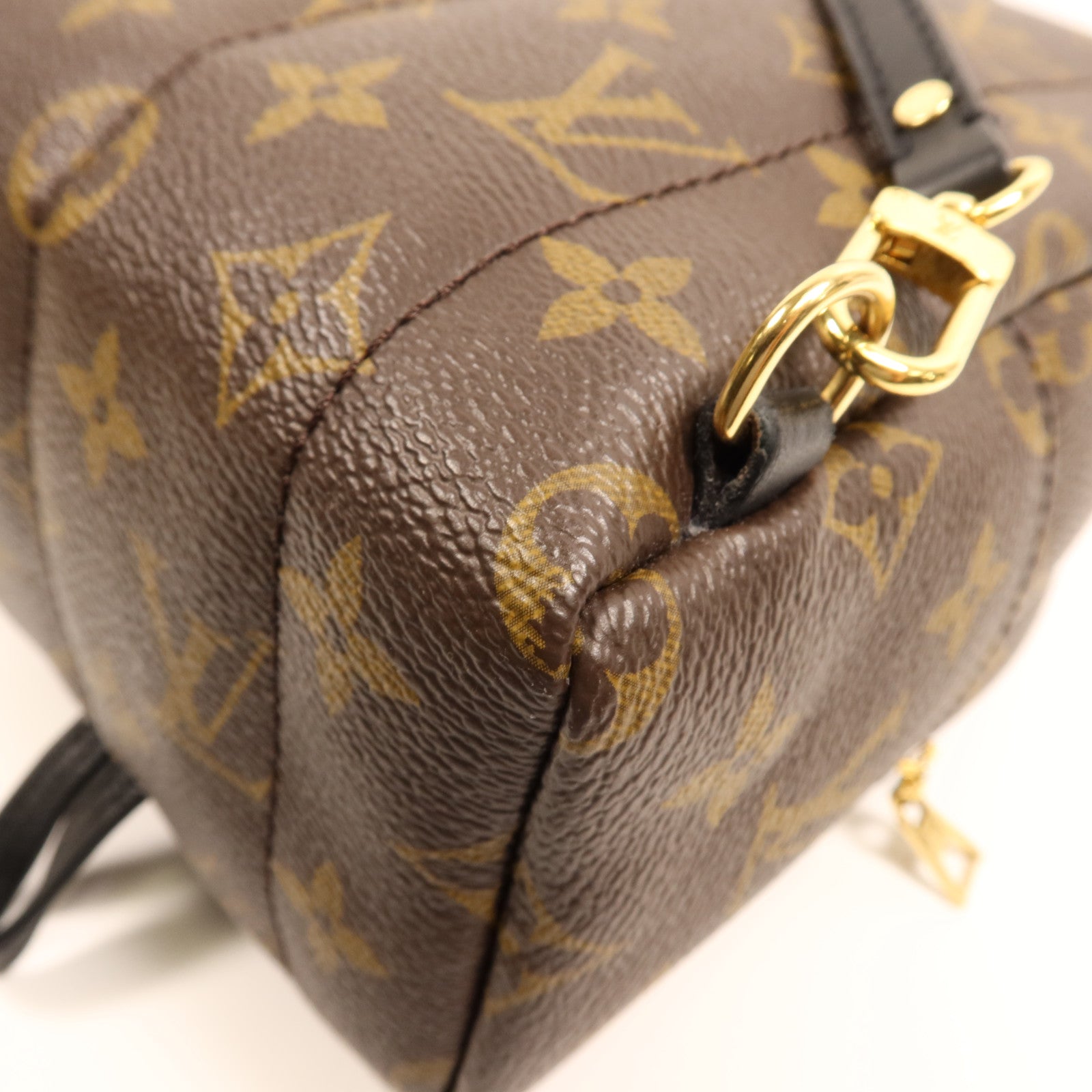 LOUIS VUITTON Monogram Palm Springs金扣背包