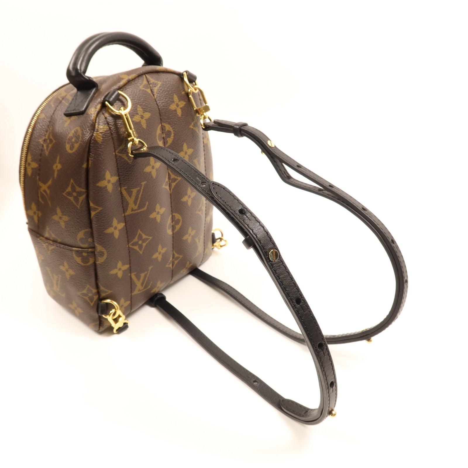 LOUIS VUITTON Monogram Palm Springs金扣背包