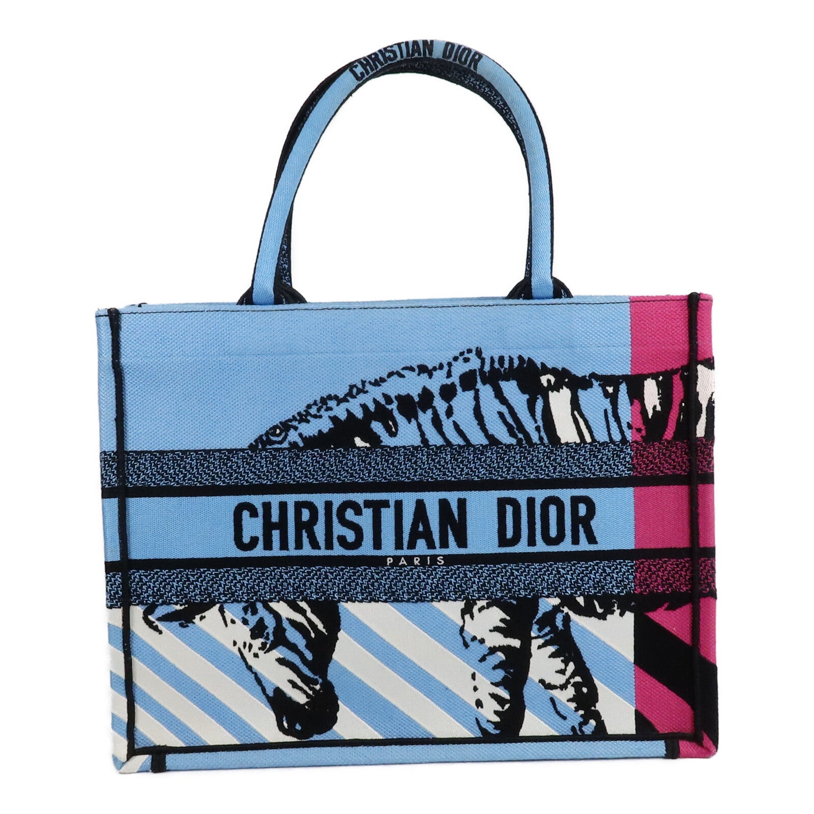 Dior 帆布Book Tote Medium手挽袋