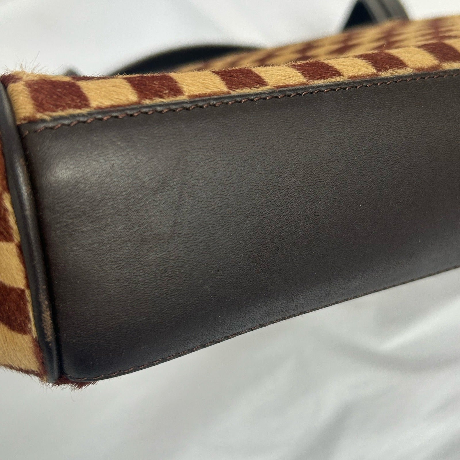 LOUIS VUITTON Damier Sauvage Lionne金扣手挽袋