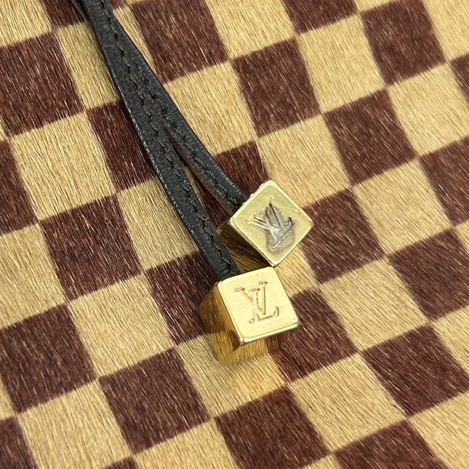 LOUIS VUITTON Damier Sauvage Lionne金扣手挽袋