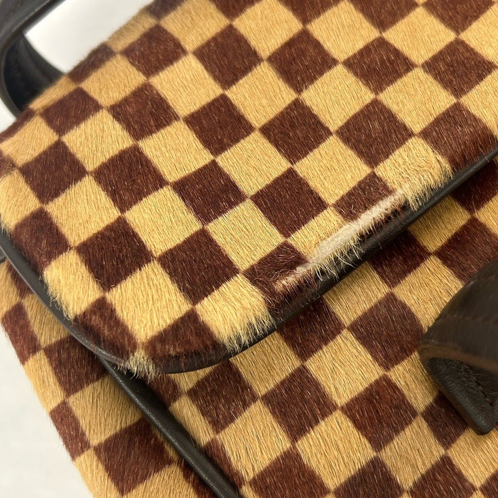 LOUIS VUITTON Damier Sauvage Lionne金扣手挽袋