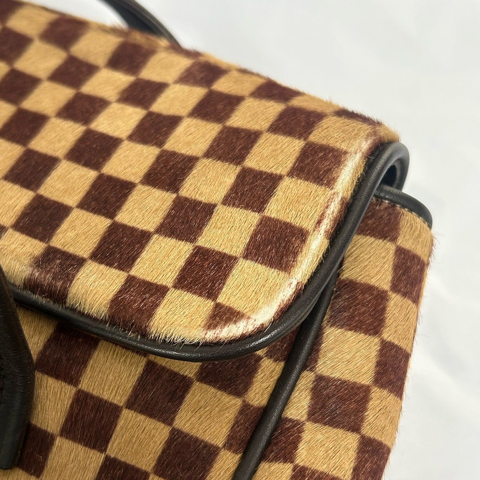 LOUIS VUITTON Damier Sauvage Lionne金扣手挽袋