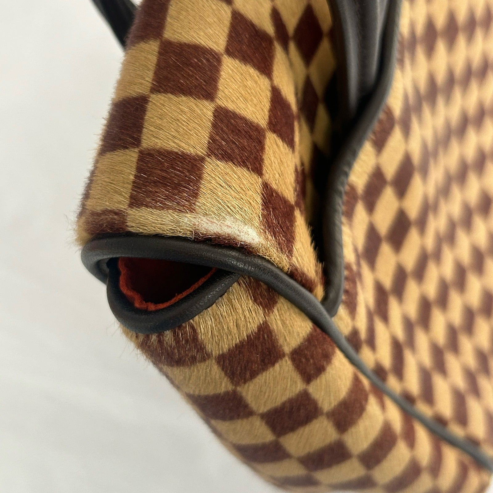 LOUIS VUITTON Damier Sauvage Lionne金扣手挽袋