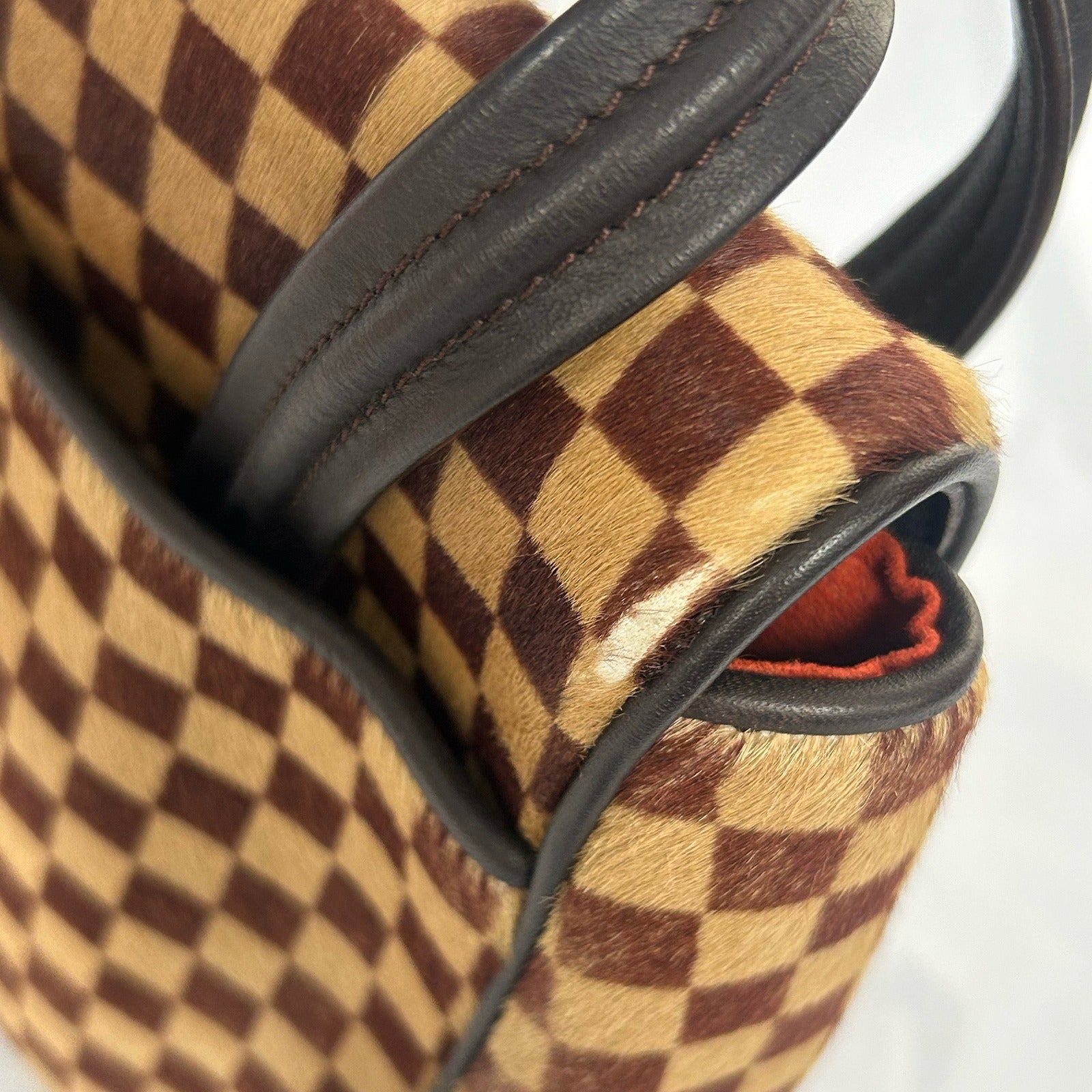LOUIS VUITTON Damier Sauvage Lionne金扣手挽袋