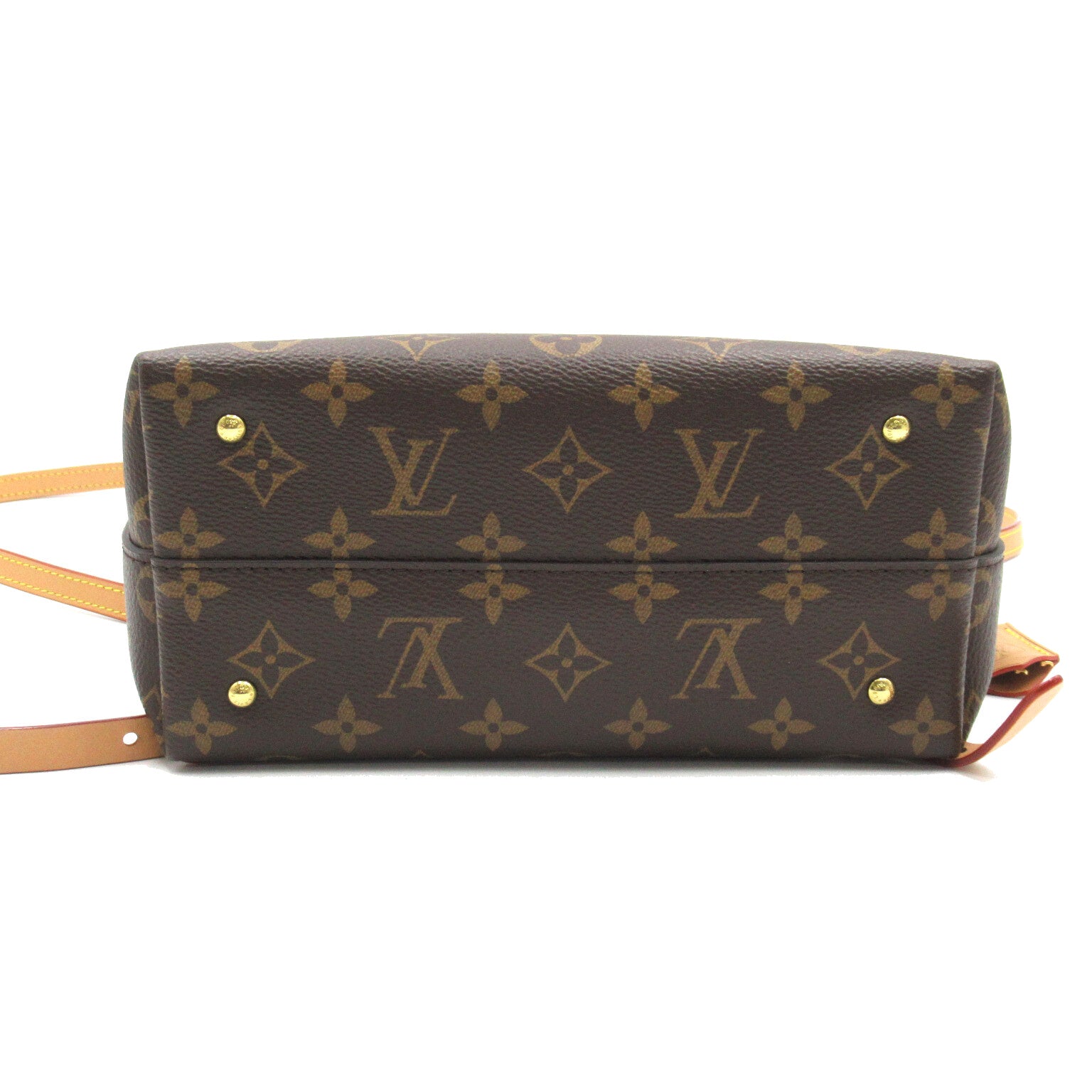 LOUIS VUITTON 【激減優惠】Monogram Moon 2020 Cruise Line背包啡色