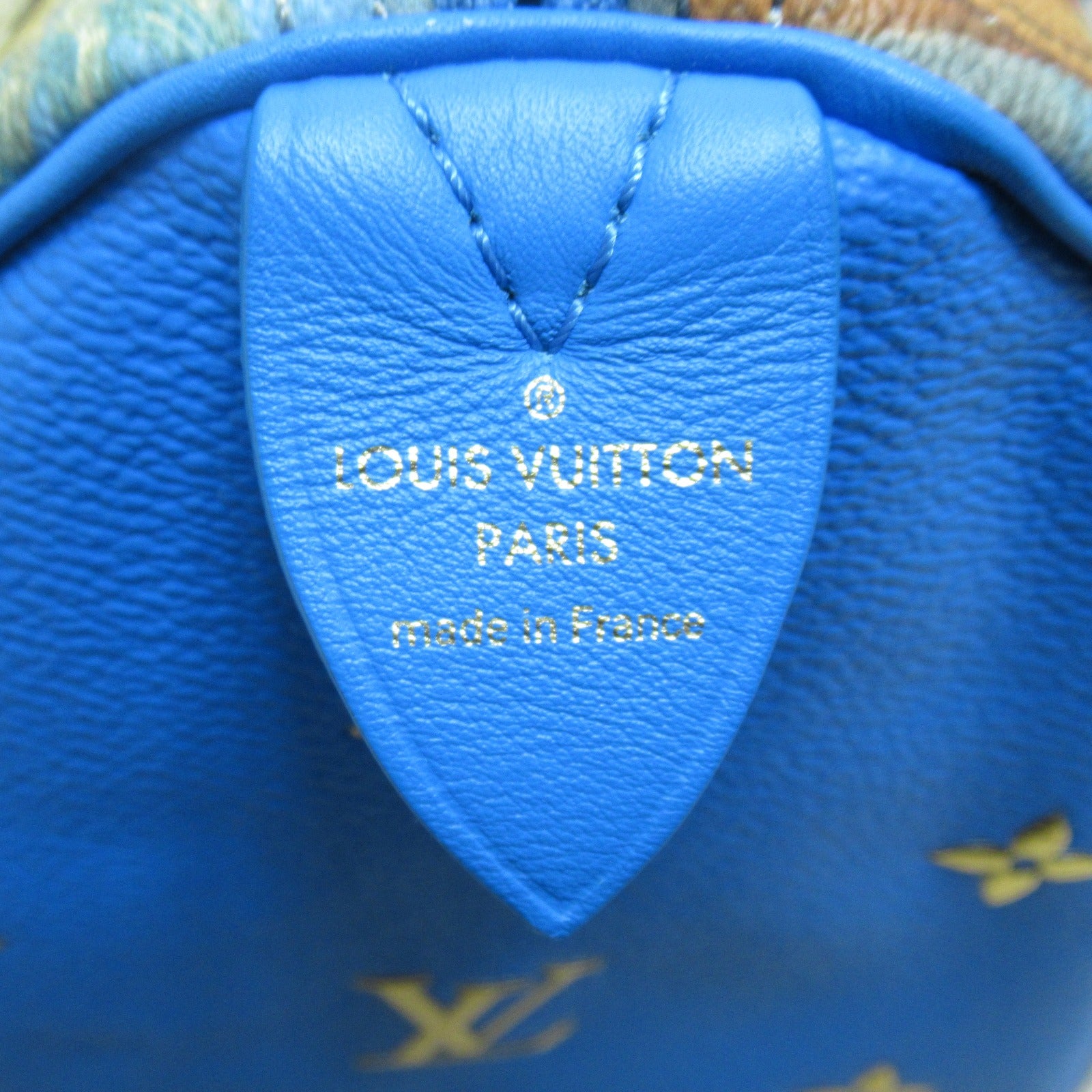 LOUIS VUITTON **【激減優惠】Masters Collection Rubens Speedy 30 手挽袋藍色/棕色