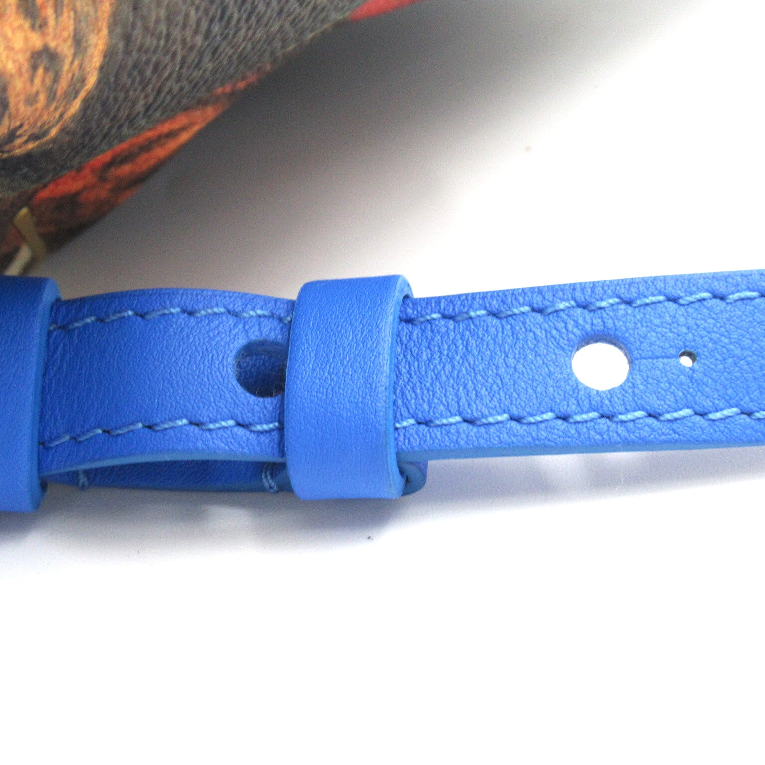 LOUIS VUITTON **【激減優惠】Masters collection Rubens Palm Springs Backpack背包藍色/棕色