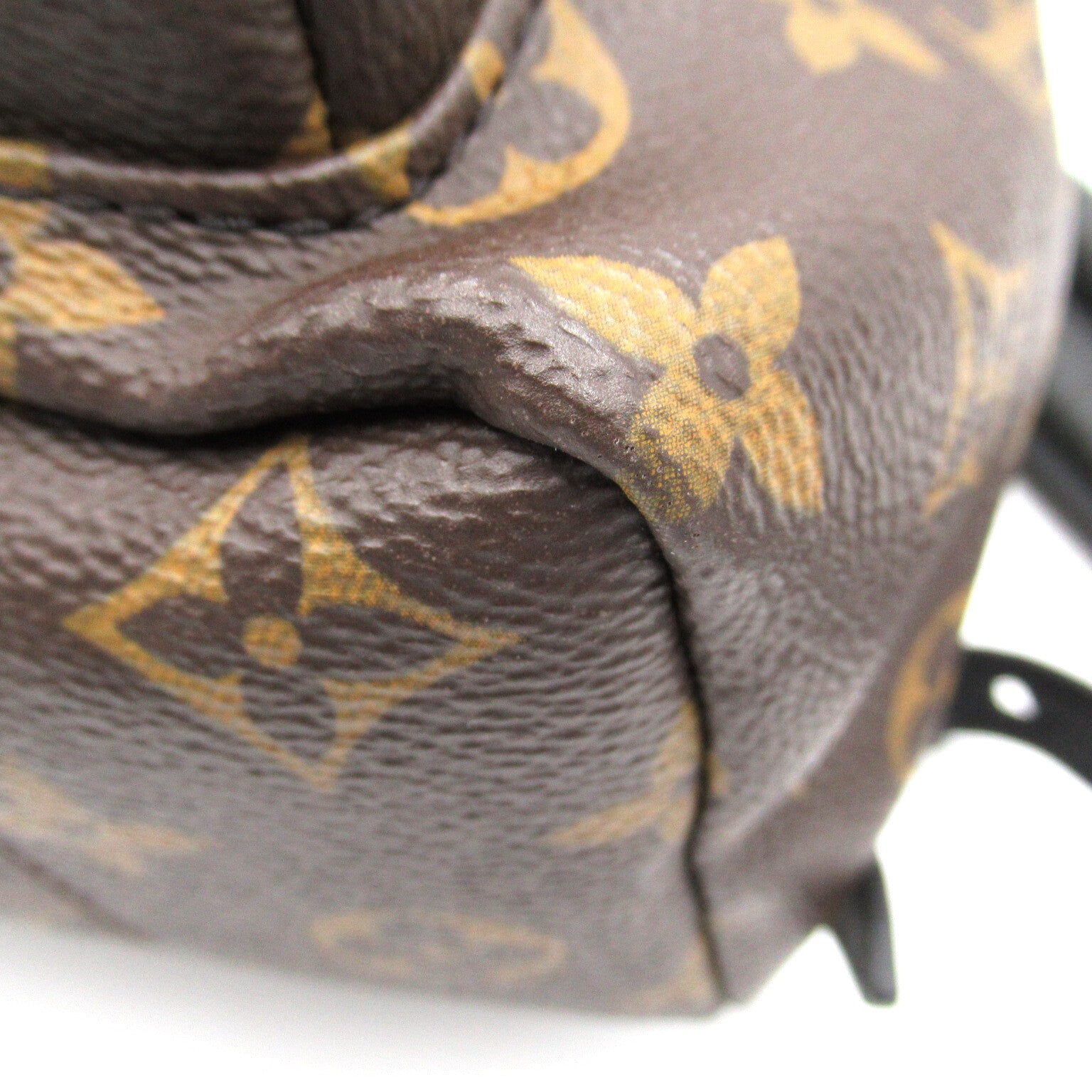 LOUIS VUITTON Monogram Palm Springs PM金扣背包啡色