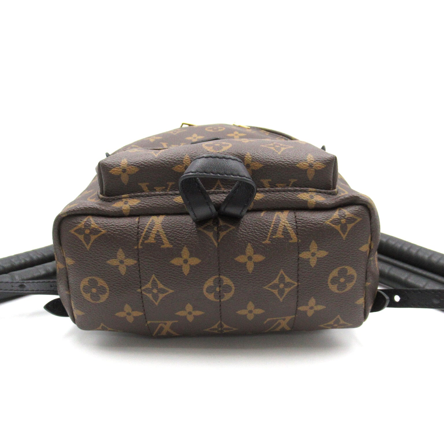 LOUIS VUITTON Monogram Palm Springs PM金扣背包啡色