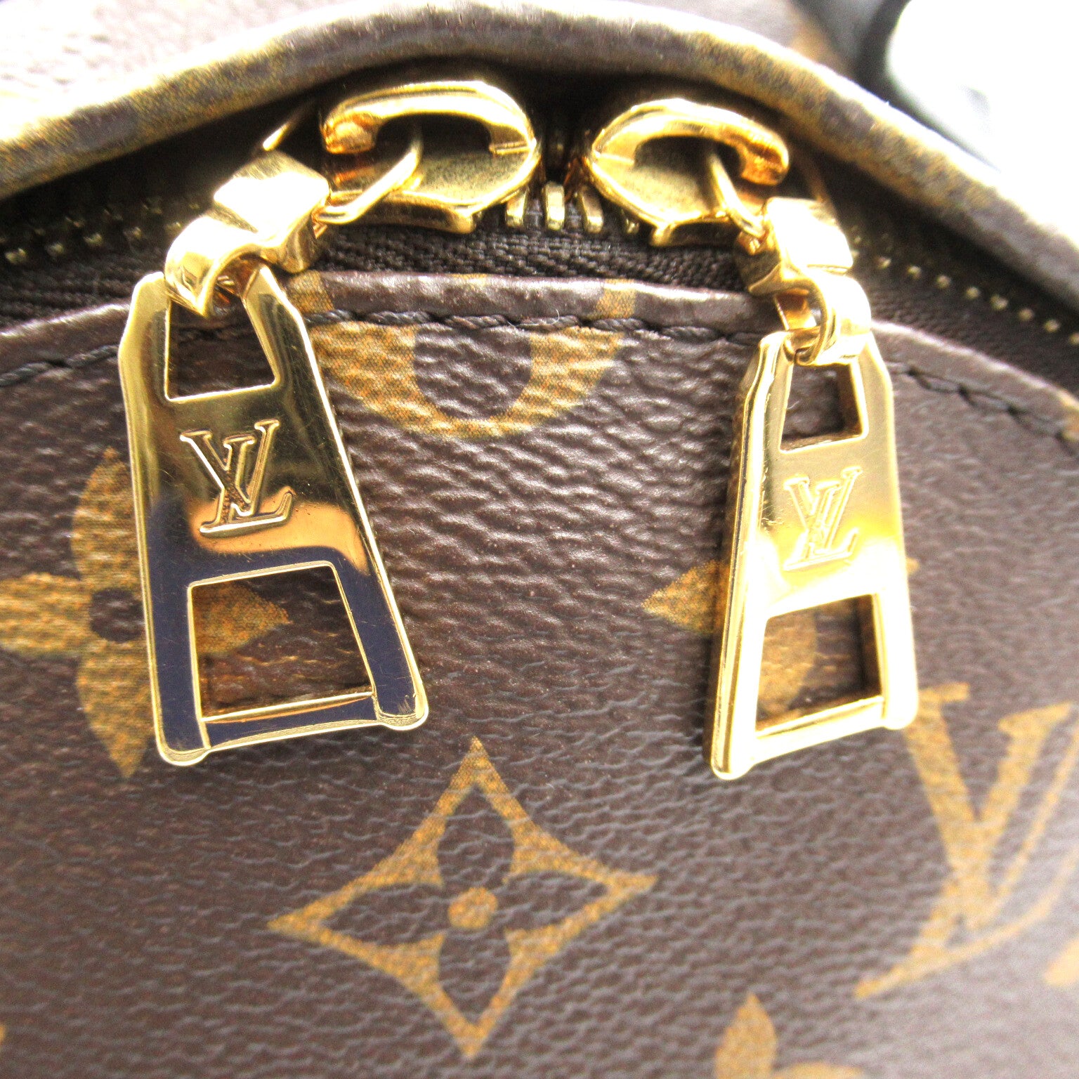 LOUIS VUITTON Monogram Palm Springs PM金扣背包啡色