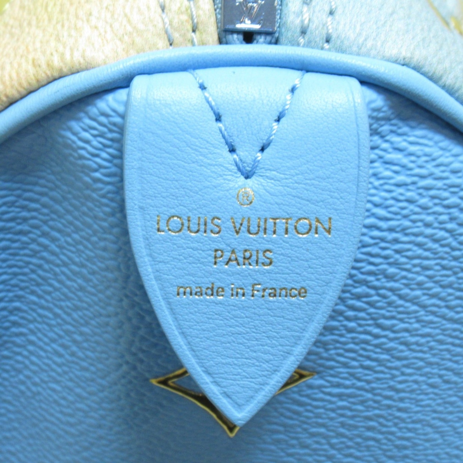 LOUIS VUITTON **【激減優惠】Masters Collection Turner Speedy 30手挽袋藍色/棕色