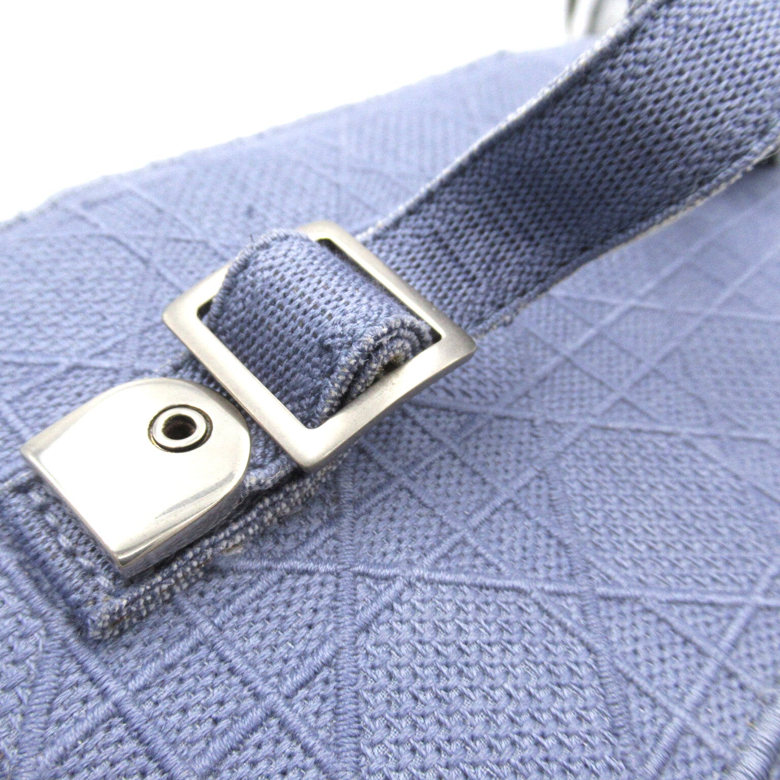 Dior (PRICE DOWN) CD SHW Vanity Case Cosmetic Bag Handbag Canvas Blue