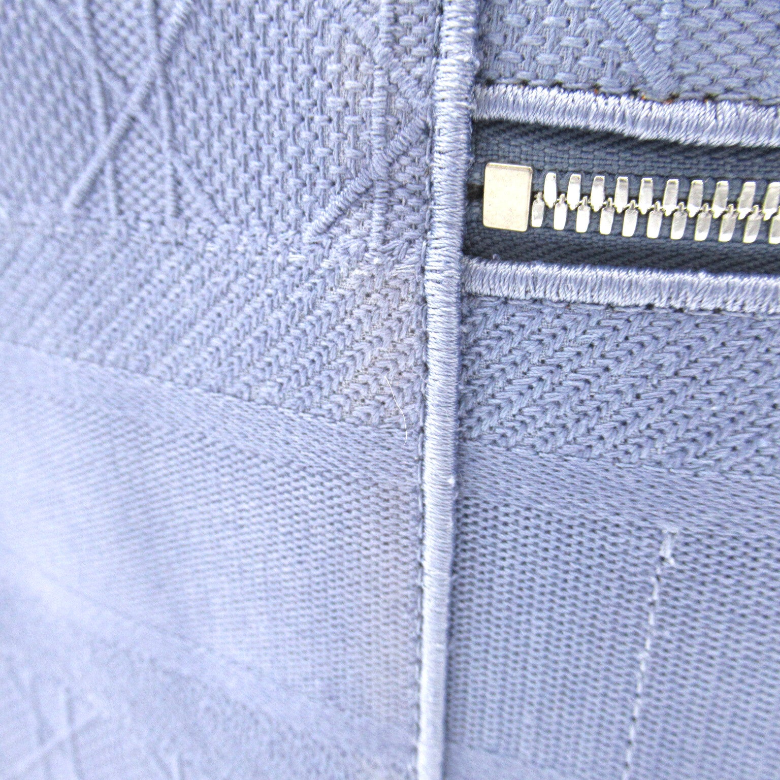 Dior (PRICE DOWN) CD SHW Vanity Case Cosmetic Bag Handbag Canvas Blue