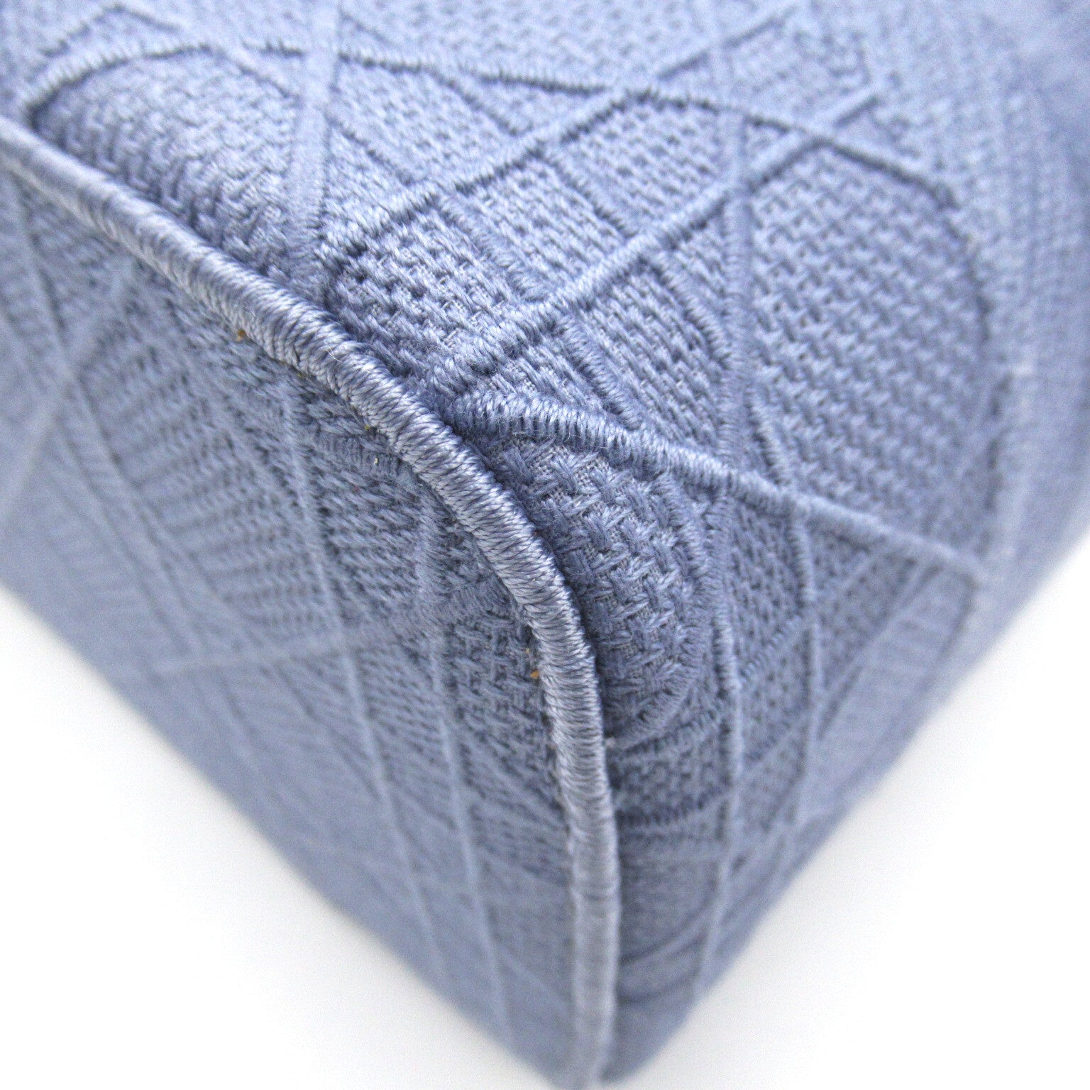 Dior (PRICE DOWN) CD SHW Vanity Case Cosmetic Bag Handbag Canvas Blue