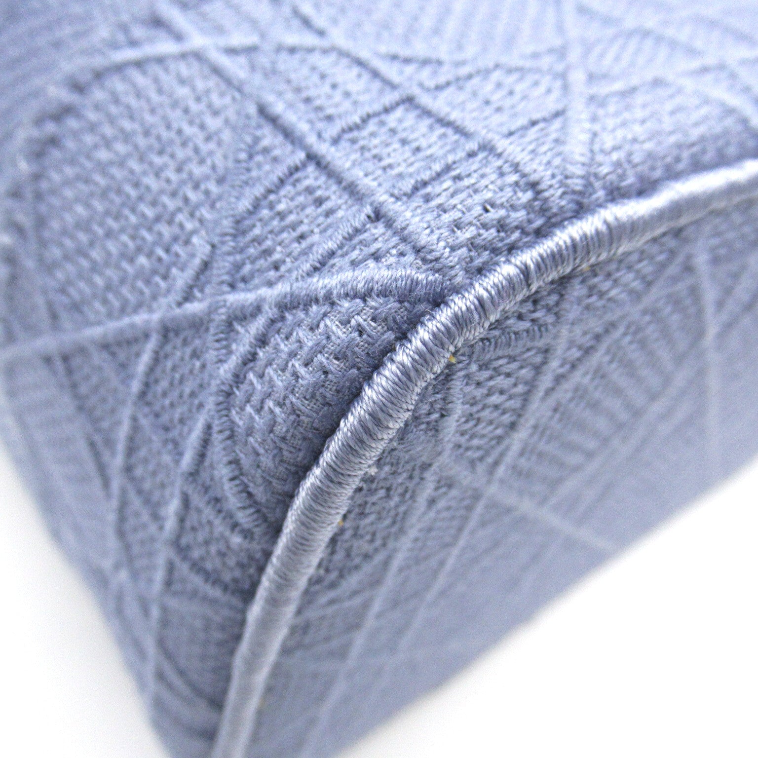 Dior (PRICE DOWN) CD SHW Vanity Case Cosmetic Bag Handbag Canvas Blue