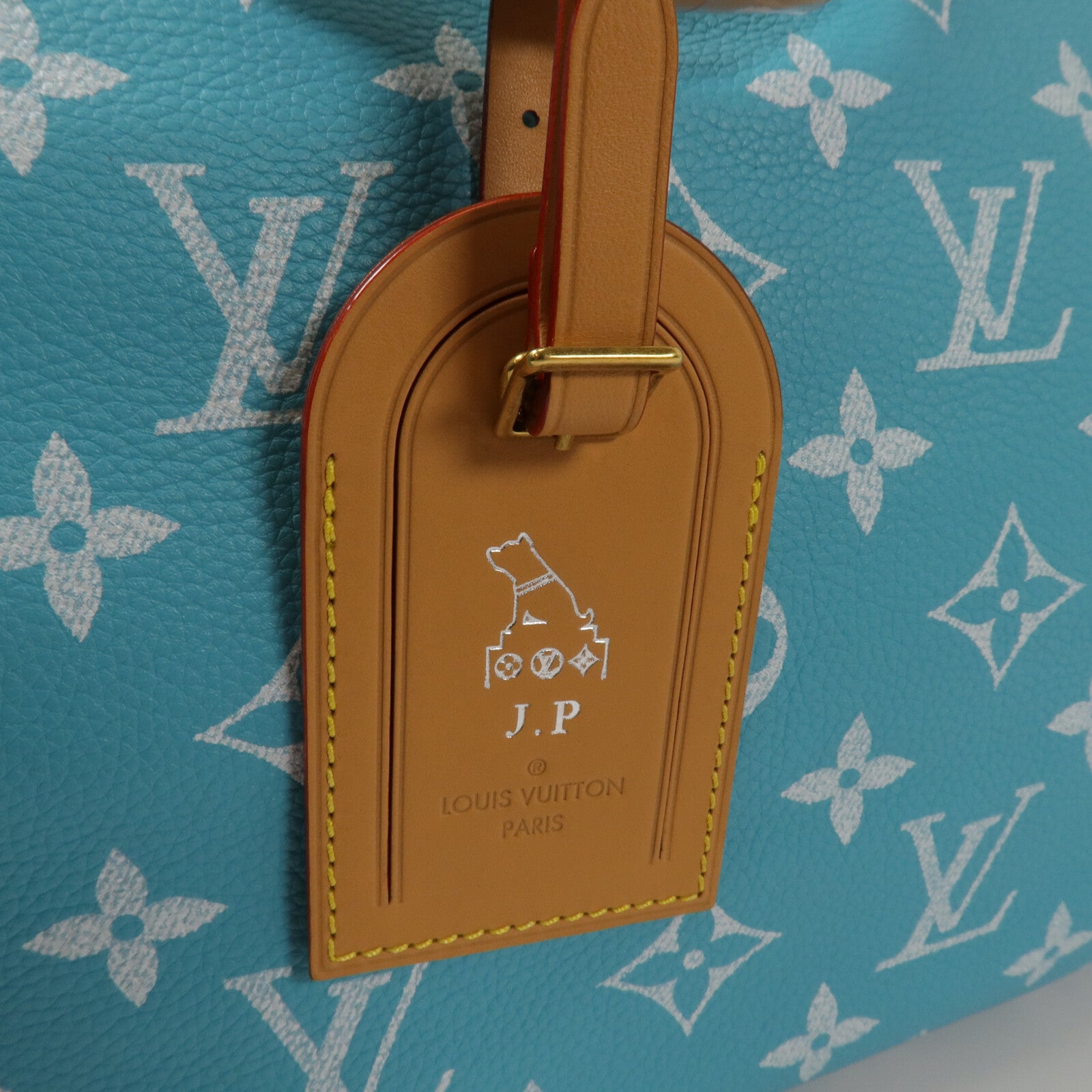 LOUIS VUITTON 牛皮皮革Speedy P9 Bandouliere 40手挽肩背兩用袋