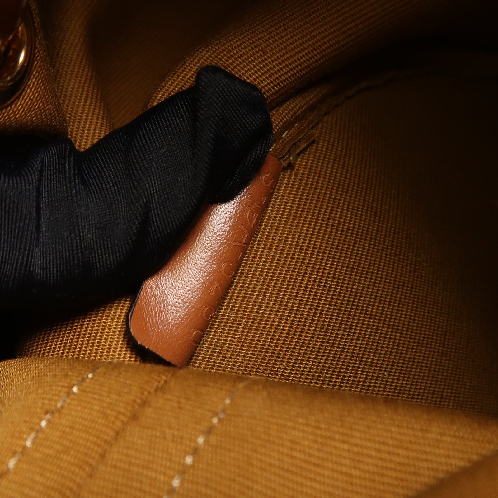 CELINE 塗層帆布Triomphe Bag金扣肩背袋