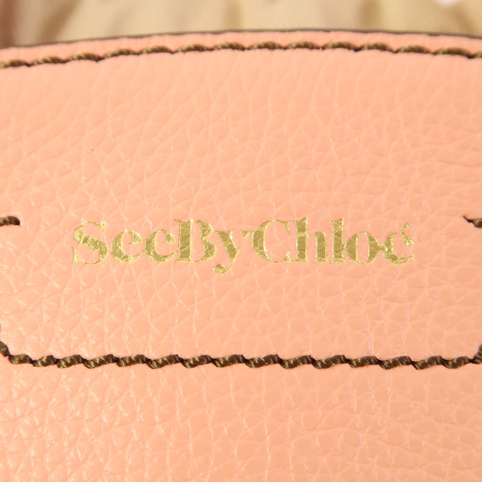 Chloe 牛皮皮革2 Way Shoulder金扣手挽肩背兩用袋