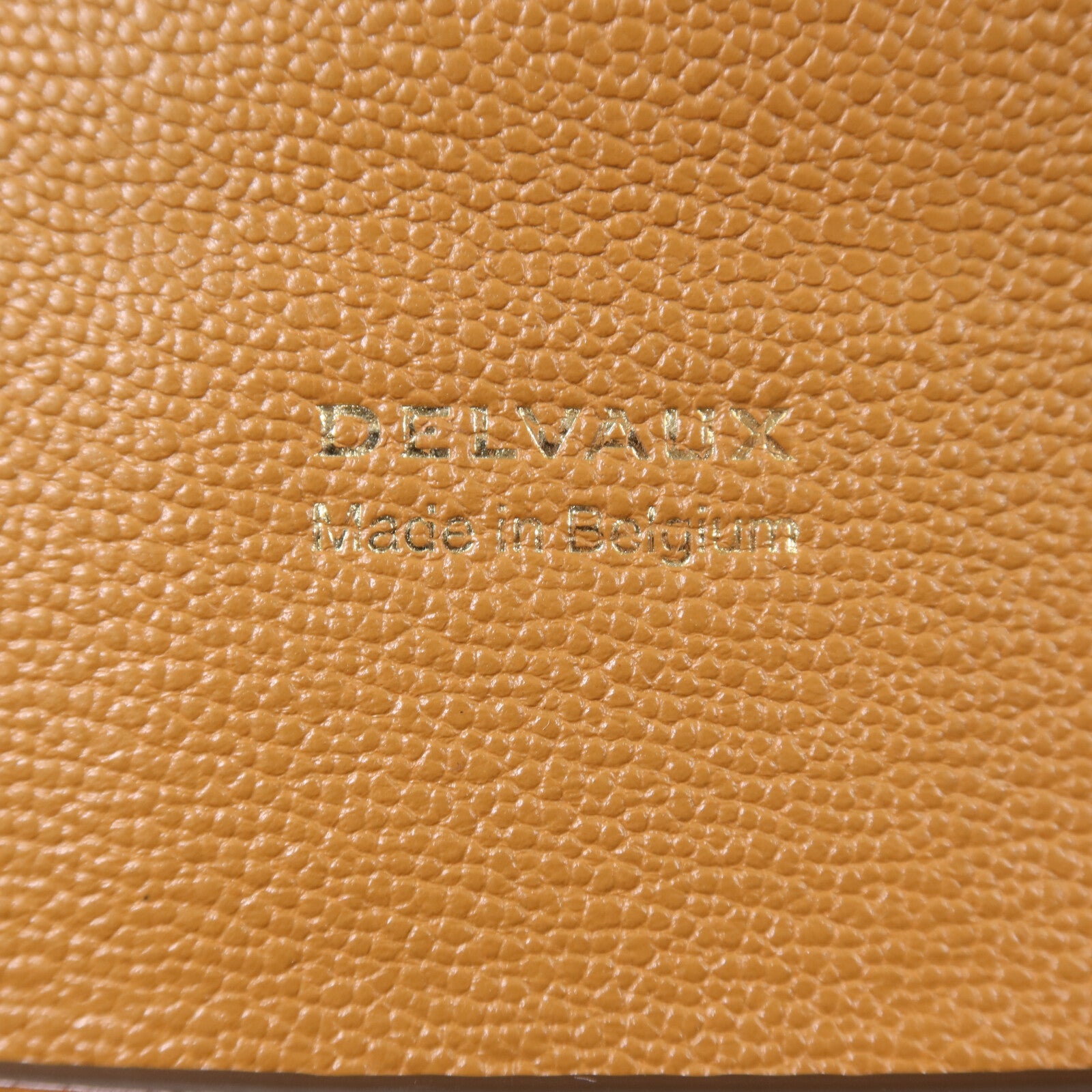Delvaux 牛皮皮革Brillant Long Wallet Chain金扣鏈帶肩背袋
