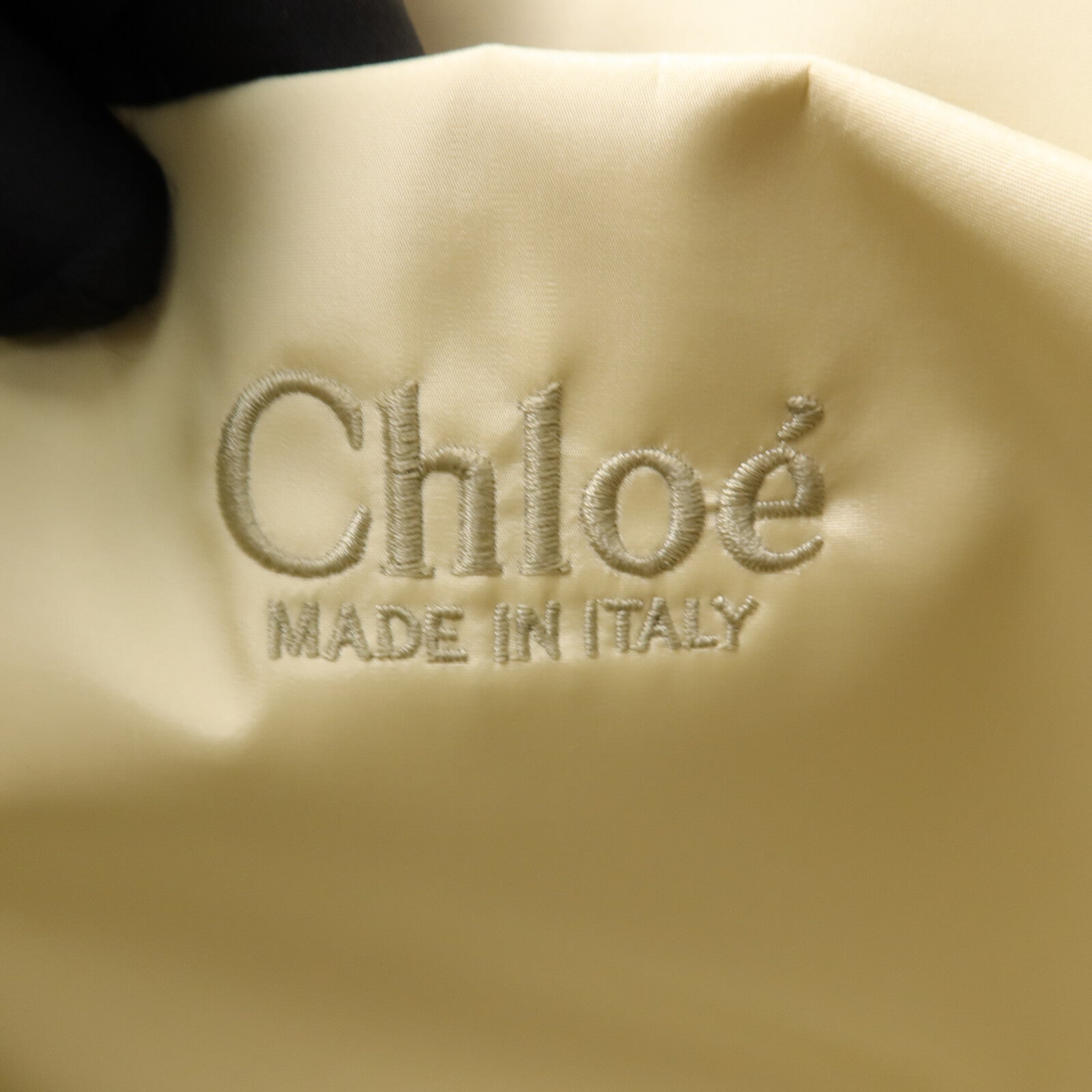 Chloe 尼龍Woody Medium手挽袋