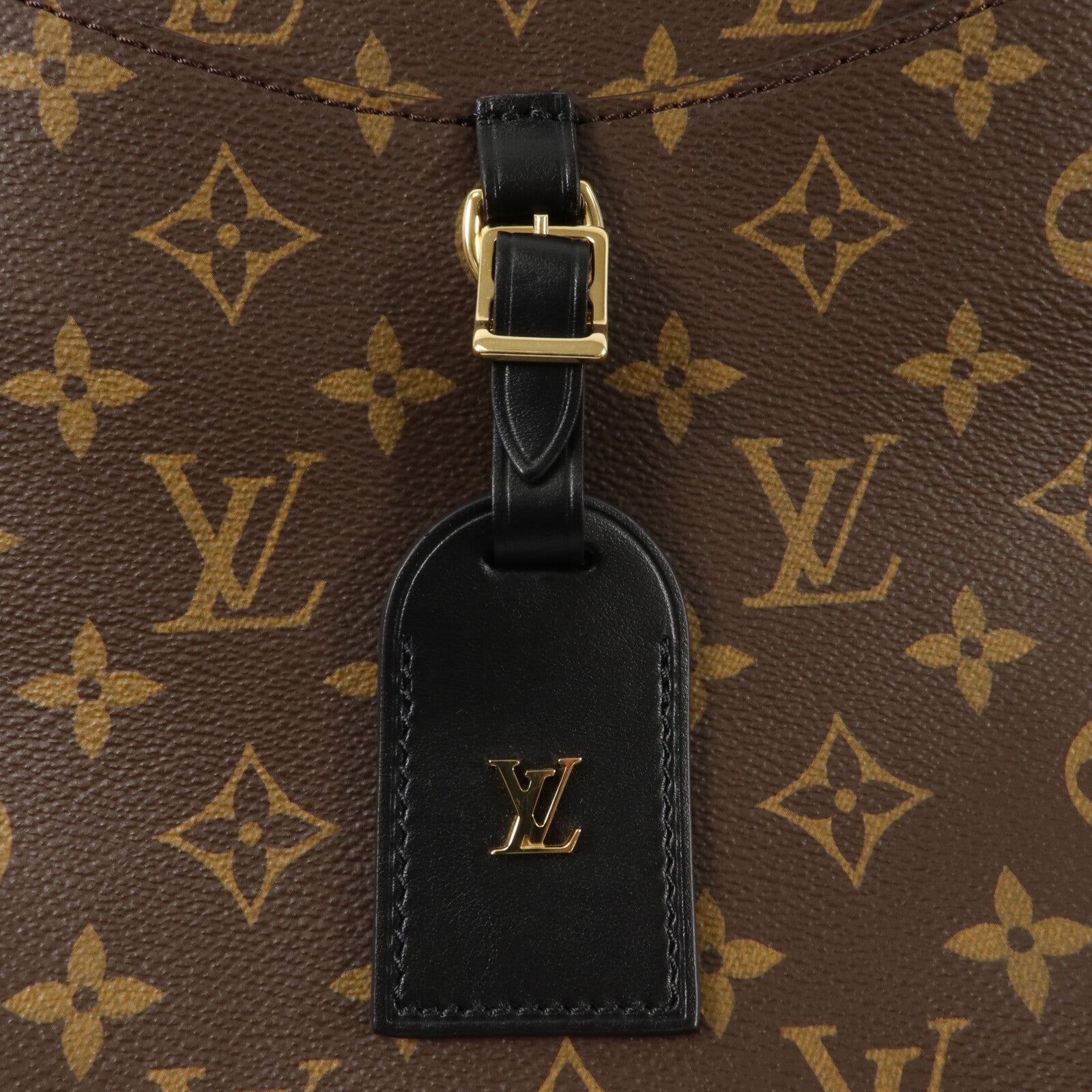 LOUIS VUITTON Monogram Odeon PM肩背袋