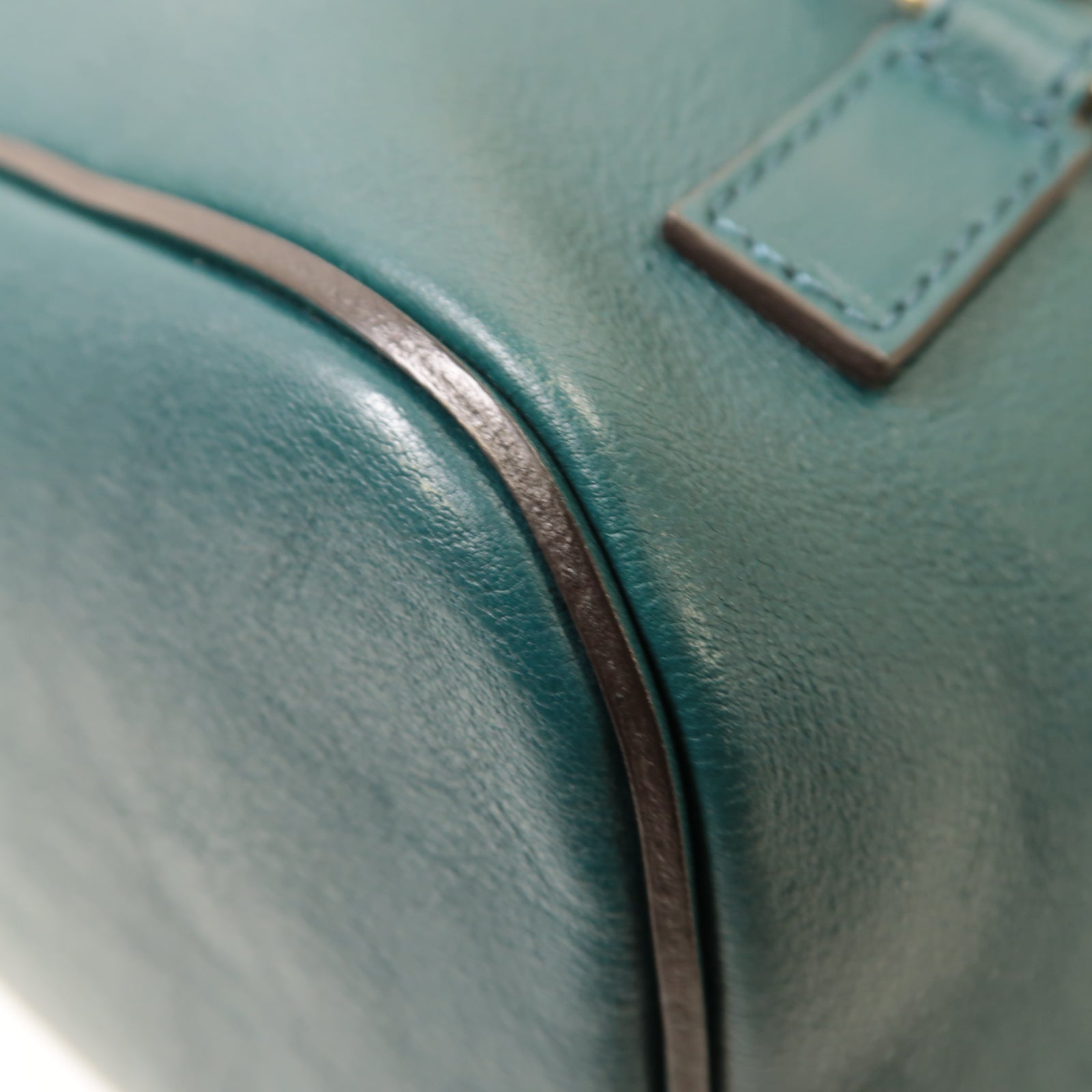 Chloe 【激減優惠】麂皮/牛皮皮革Backpack金扣背包綠色