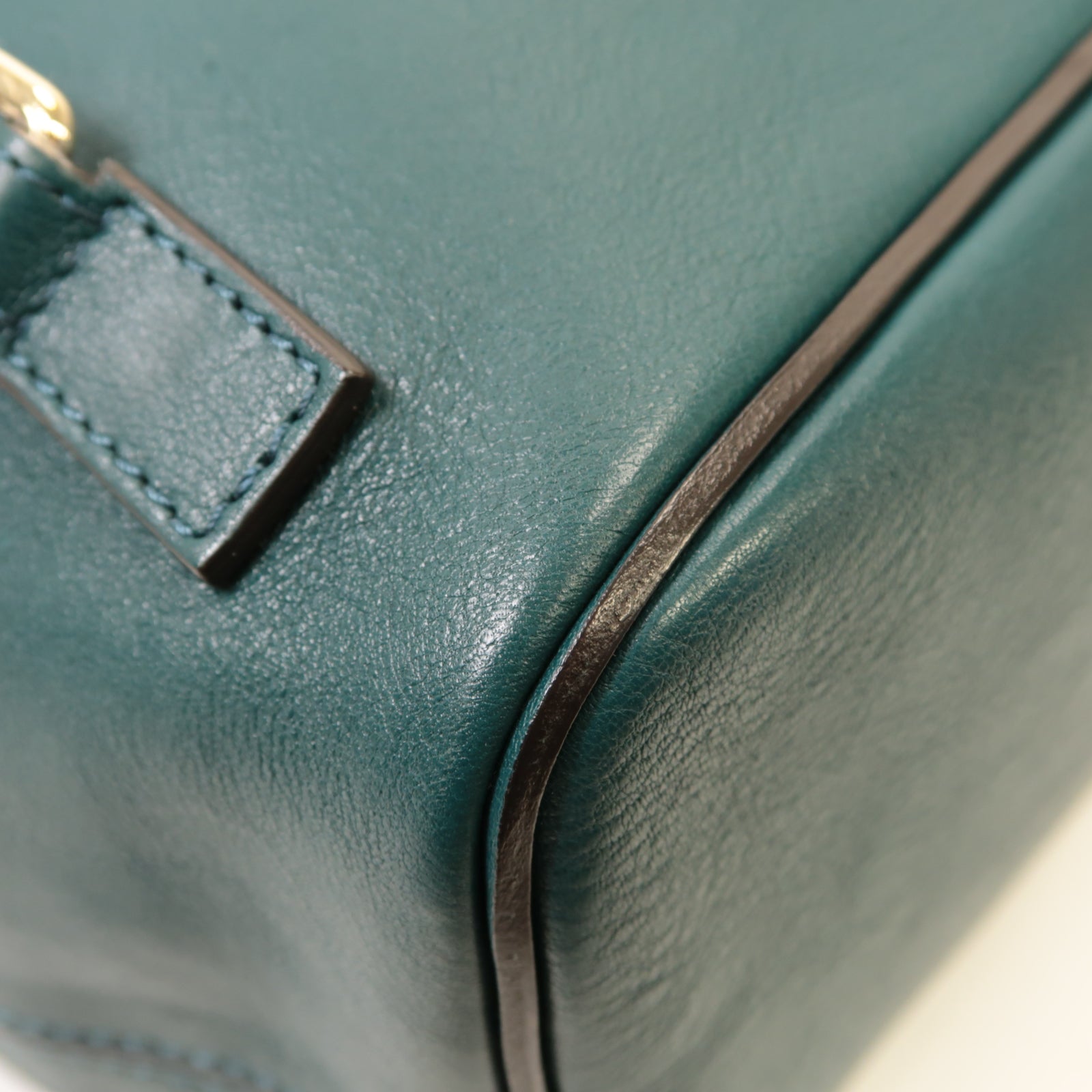 Chloe 【激減優惠】麂皮/牛皮皮革Backpack金扣背包綠色