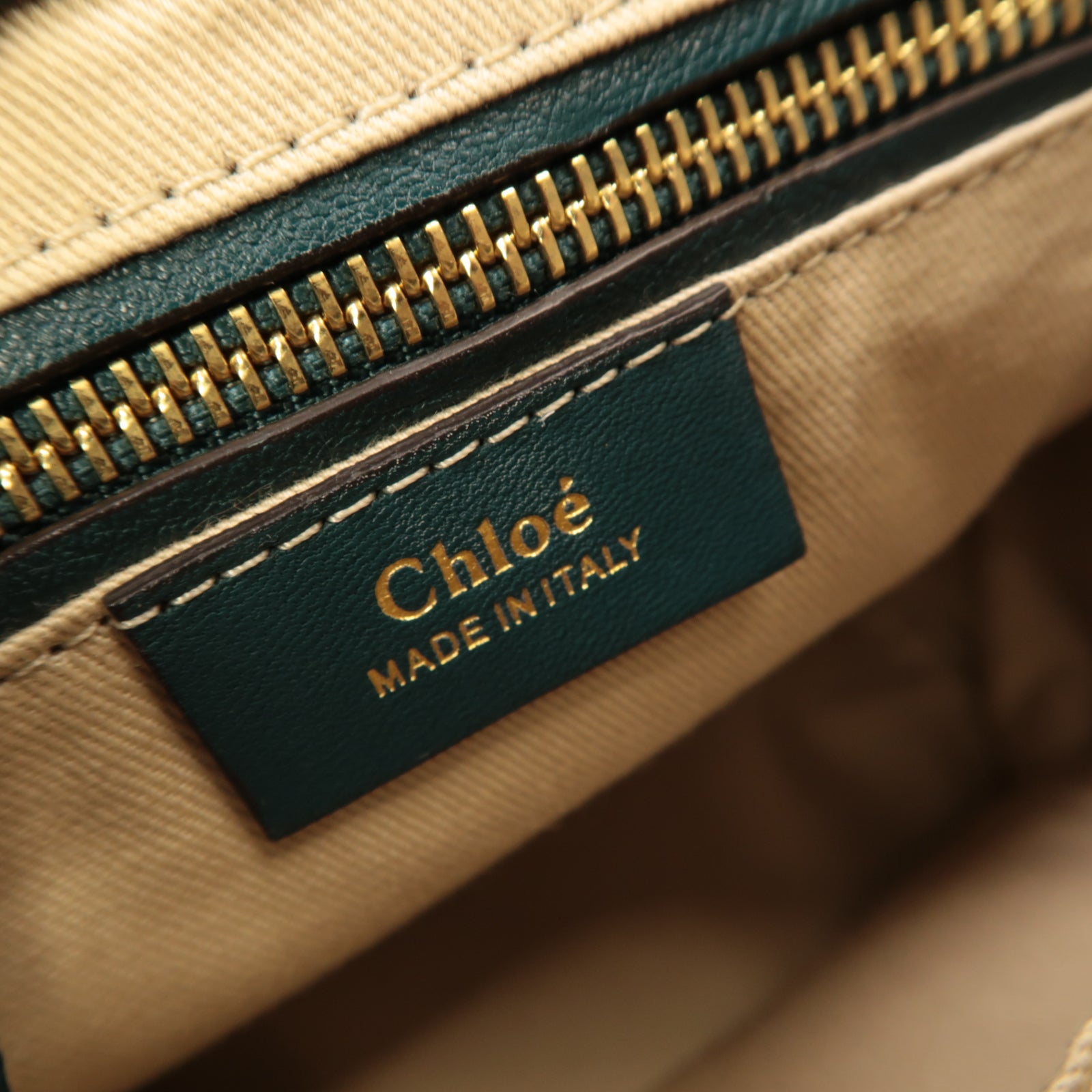 Chloe 【激減優惠】麂皮/牛皮皮革Backpack金扣背包綠色