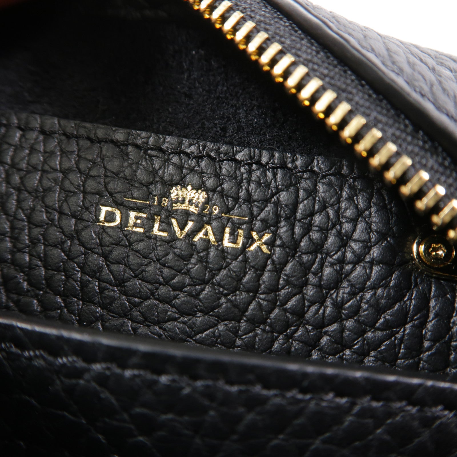 Delvaux 牛皮皮革Cool Box Nano手挽肩背兩用袋