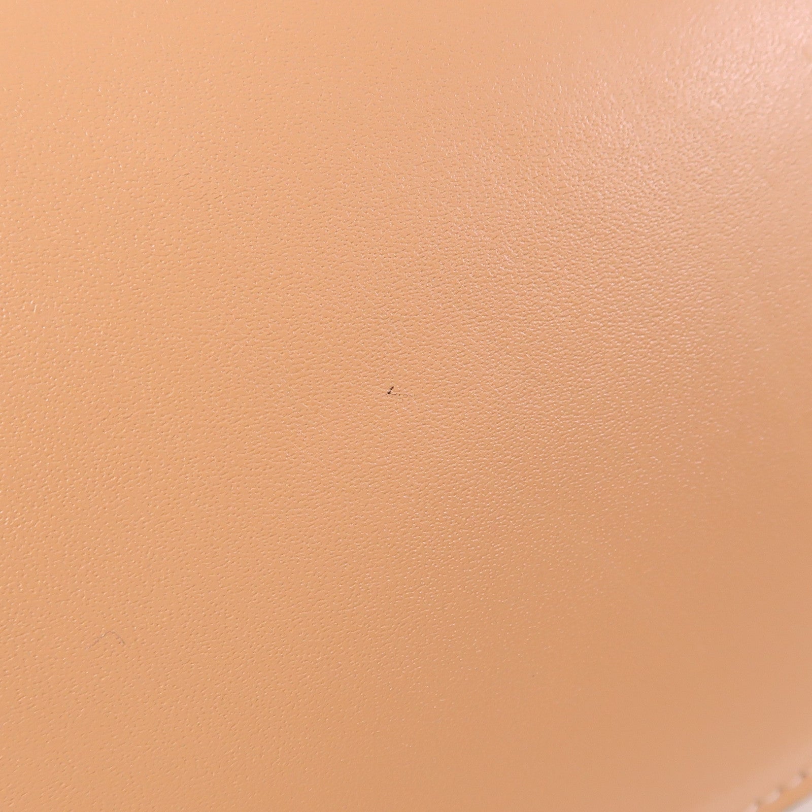 LOEWE 【激減優惠】牛皮皮革Gate Pochette Bag金扣肩背袋