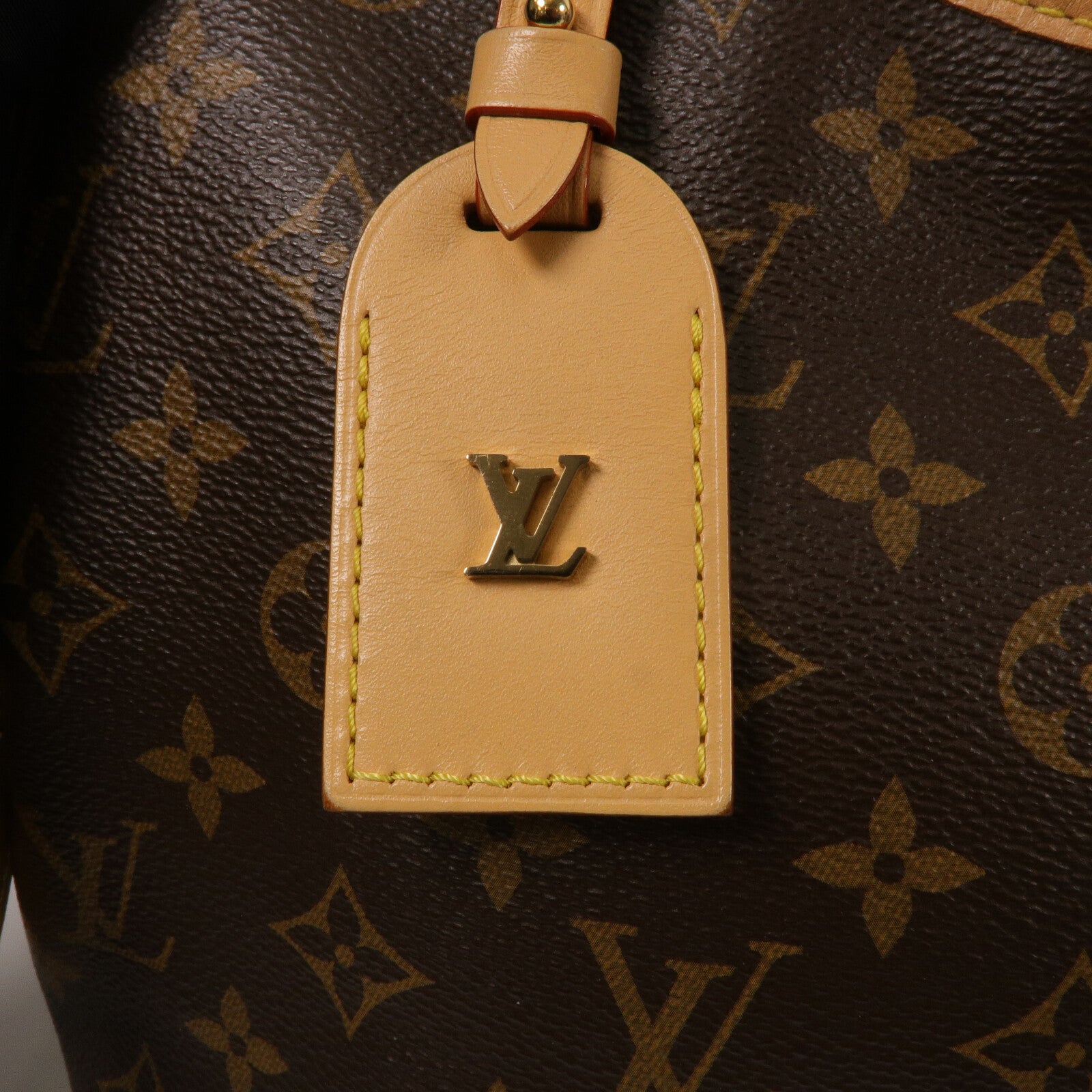LOUIS VUITTON Monogram CarryAll PM肩背袋