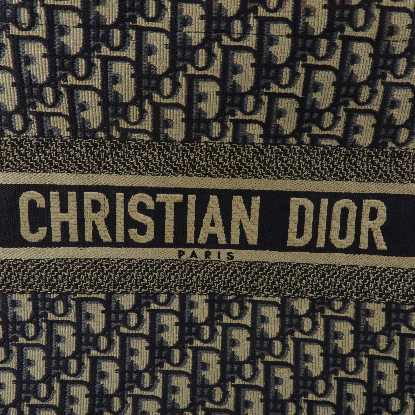 Dior 帆布Book Tote Medium手挽袋