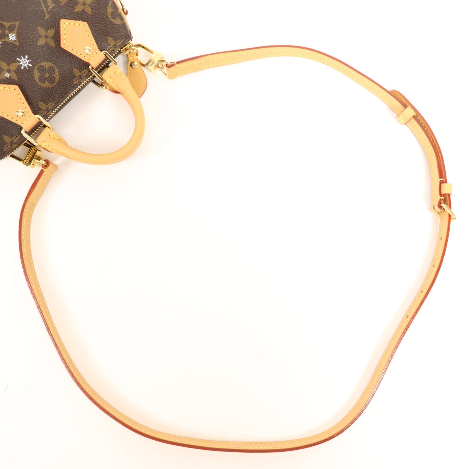 LOUIS VUITTON Monogram Vivienne Nano Speedy金扣手挽肩背兩用袋