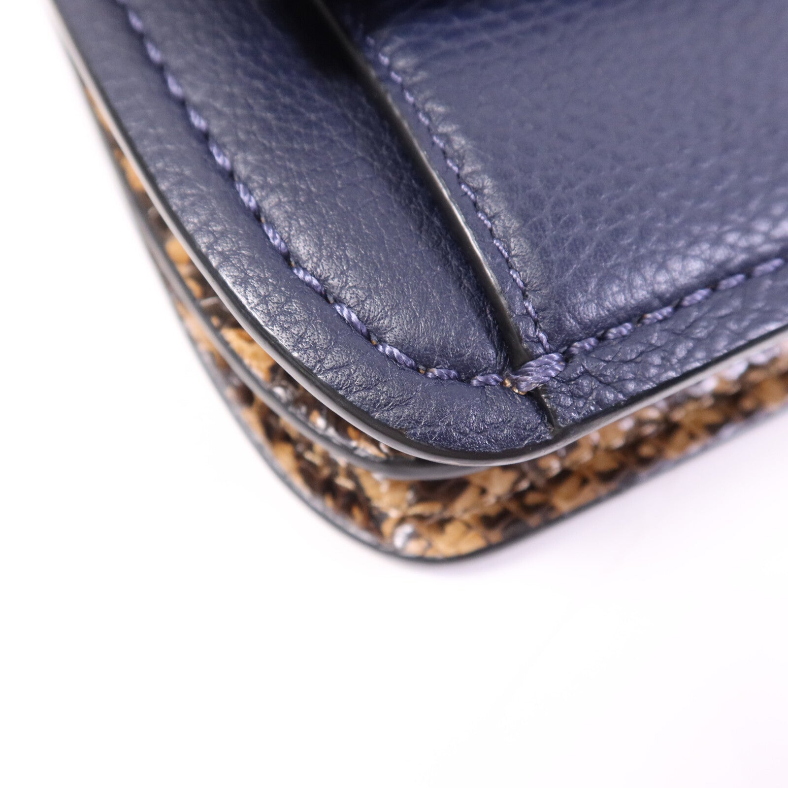 COACH 牛皮/蛇皮皮革Troupe鏈帶肩背袋