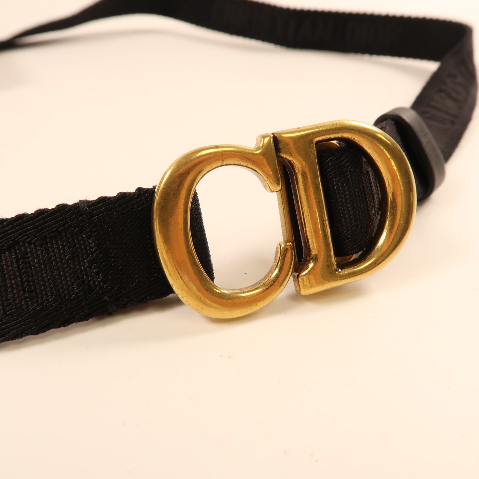 Dior 帆布Saddle Belt Bag金扣腰包紅色