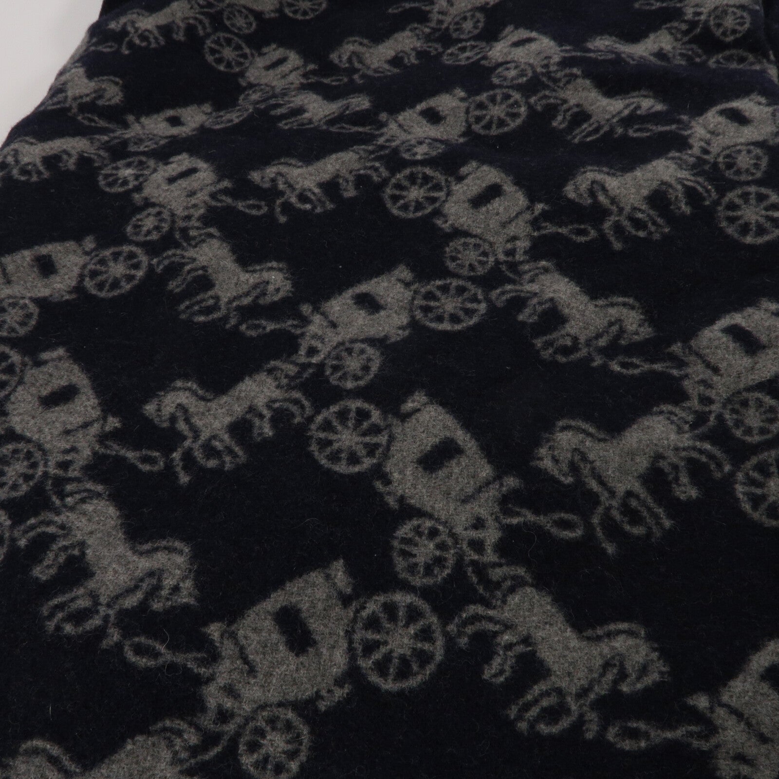 COACH 羊毛/PolyamideBlanket Scarf 178X130cm絲巾